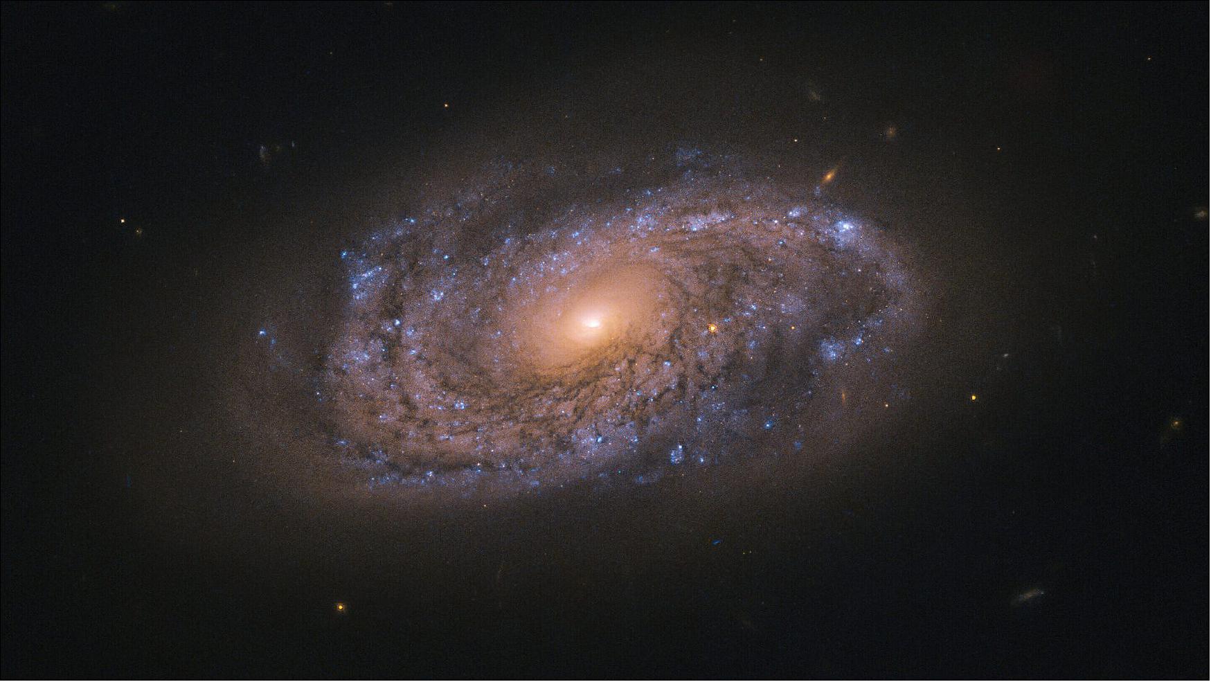 Figure 77: This image of NGC 2906 was captured by the NASA/ESA Hubble Space Telescope’s Wide Field Camera 3, an instrument installed on Hubble in 2009 during the telescope’s fourth servicing mission. Hubble observed this galaxy on the hunt for fading light from recent, nearby occurrences of objects known as supernovae (image credit: ESA/Hubble & NASA, A Filippenko; CC BY 4.0)