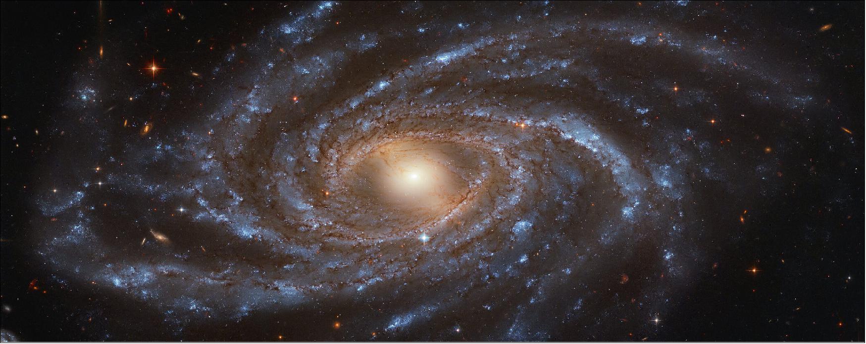 Figure 110: NGC 2336 is the quintessential galaxy — big, beautiful and blue — and it is captured here by the NASA/ESA Hubble Space Telescope. The barred spiral galaxy stretches an immense 200,000 light-years across and is located approximately 100 million light years away in the northern constellation of Camelopardalis (The Giraffe), image credit: ESA/Hubble & NASA, V. Antoniou; CC BY 4.0 – Acknowledgement: Judy Schmidt