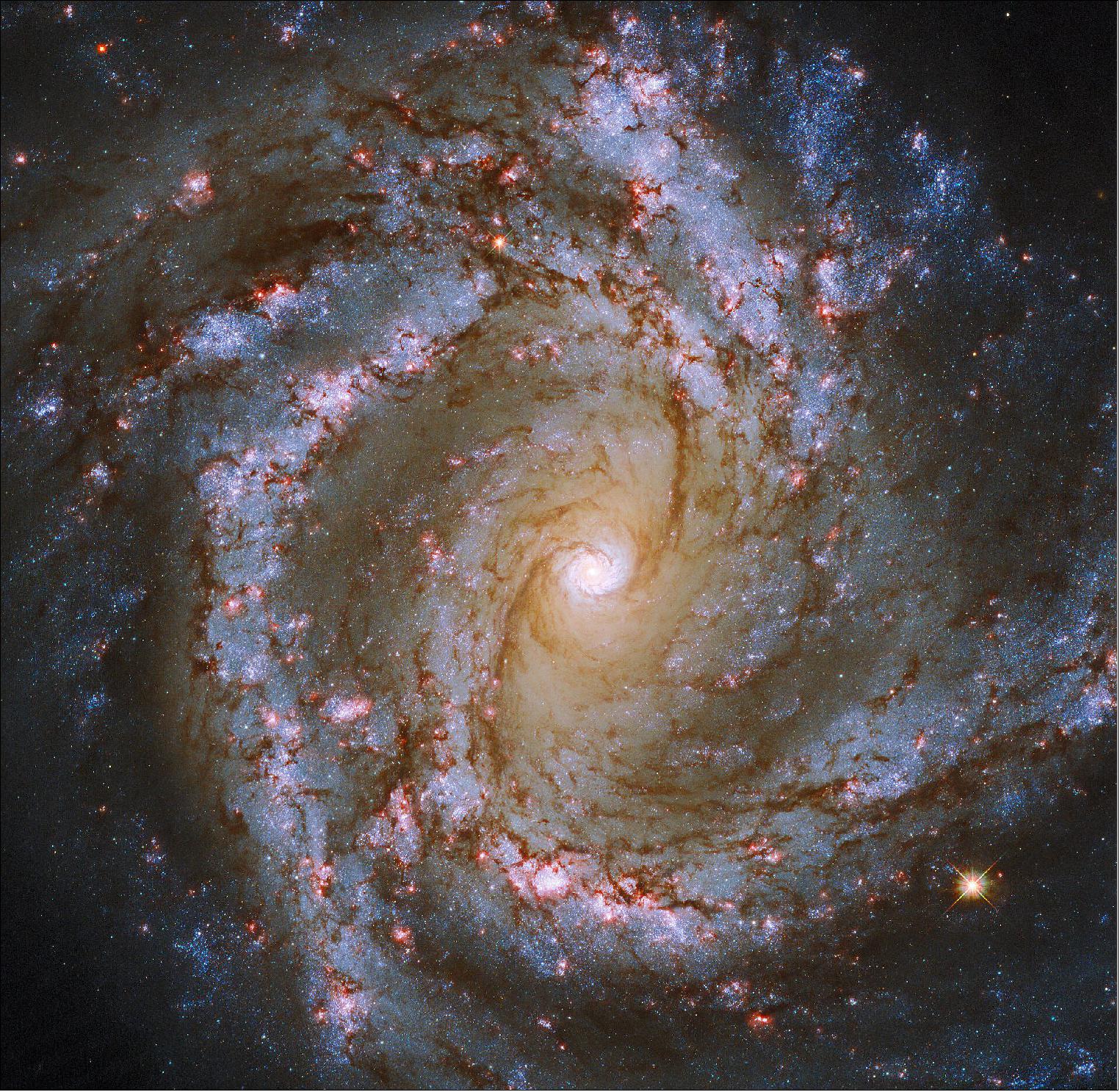 Figure 96: The luminous heart of the galaxy M61 dominates this image, framed by its winding spiral arms threaded with dark tendrils of dust. As well as the usual bright bands of stars, the spiral arms of M61 are studded with ruby-red patches of light. Tell-tale signs of recent star formation, these glowing regions lead to M61’s classification as a starburst galaxy (image credit: ESA/Hubble & NASA, ESO, J. Lee and the PHANGS-HST Team; CC BY 4.0)