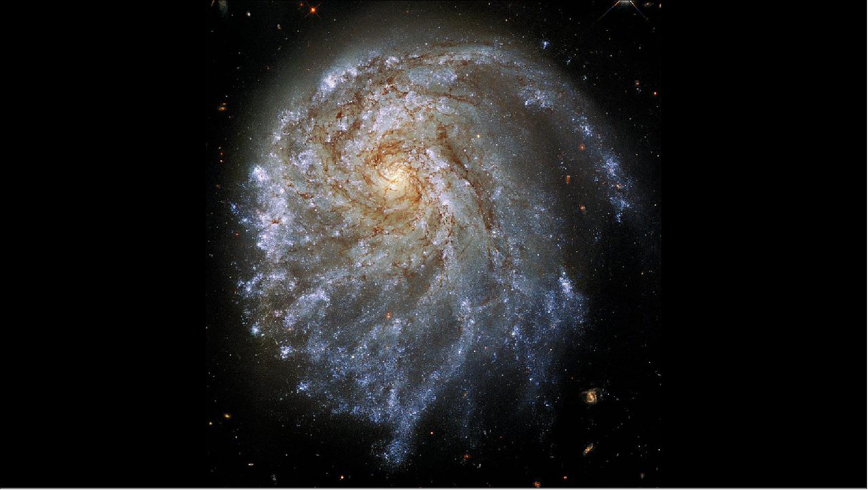 Figure 84: The magnificent spiral galaxy NGC 2276 looks a bit lopsided in this Hubble Space Telescope snapshot. A bright hub of older yellowish stars normally lies directly in the center of most spiral galaxies. But the bulge in NGC 2276 looks offset to the upper left. This image was taken as part of the Hubble observation program #15615 (PI: P. Sell), a collaboration between the University of Florida (USA), the University of Crete/FORTH (Greece), INAF-Brera (Italy), and the Center for Astrophysics | Harvard & Smithsonian (USA) [image credit: NASA, ESA, STScI, Paul Sell (University of Florida), acknowledgement: Leo Shatz]