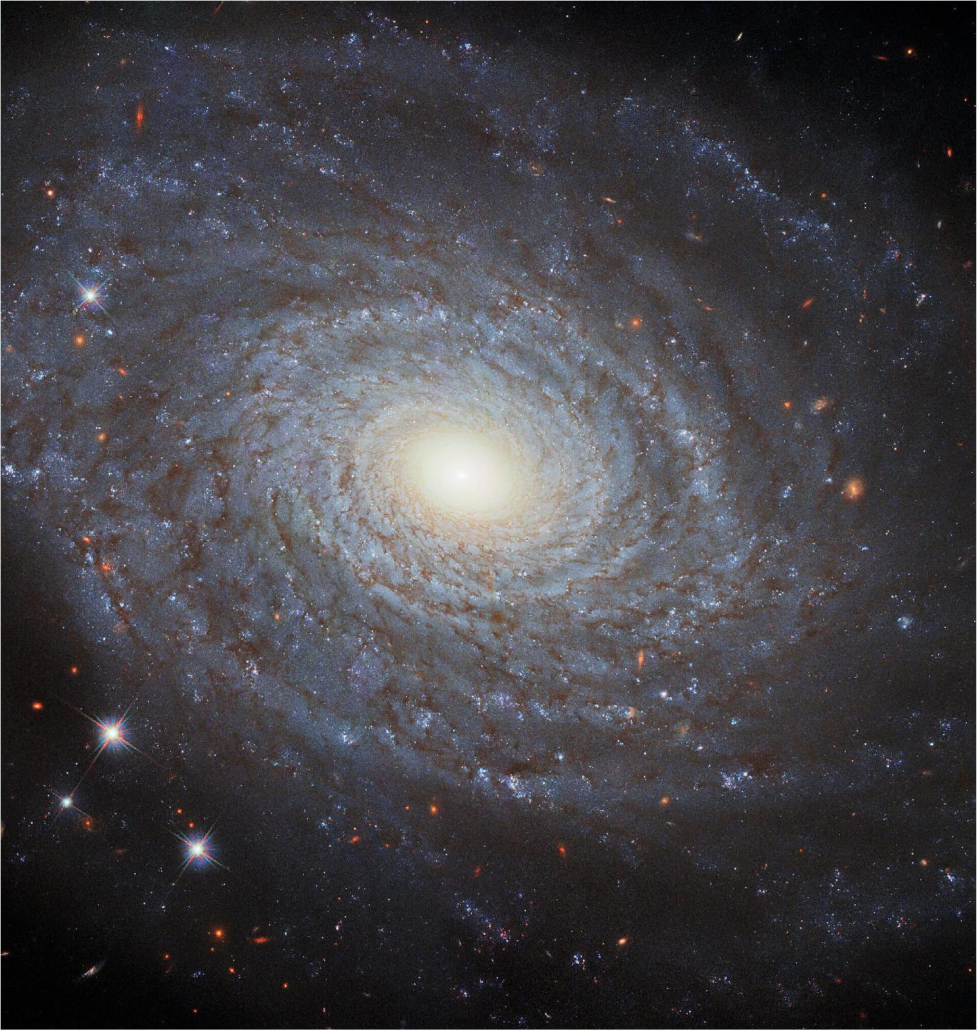 Figure 82: This image features the spiral galaxy NGC 691, imaged in fantastic detail by Hubble’s Wide Field Camera 3 (WFC3). This galaxy is the eponymous member of the NGC 691 galaxy group, a group of gravitationally bound galaxies that lie about 120 million light-years from Earth (image credit: ESA/Hubble & NASA, A. Riess; CC BY 4.0 Acknowledgement: M. Zamani)