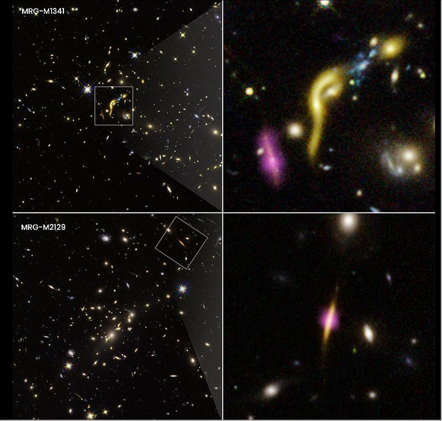 Figure 47: These images are composites from NASA's Hubble Space Telescope and the Atacama Large Millimeter/submillimeter Array (ALMA). The boxed and pullout images show two of the six, distant, massive galaxies where scientists found star formation has ceased due to the depletion of a fuel source—cold hydrogen gas. Hubble, together with ALMA, found these odd galaxies when they combined forces with the "natural lens" in space created by foreground massive galaxy clusters. The clusters' gravity stretches and amplifies the light of the background galaxies in an effect called gravitational lensing. This phenomenon allows astronomers to use massive galaxy clusters as natural magnifying glasses to study details in the distant galaxies that would otherwise be impossible to see. - The yellow traces the glow of starlight. The artificial purple color traces cold dust from ALMA observations. This cold dust is used as a proxy for the cold hydrogen gas needed for star formation. - Even with ALMA's sensitivity, scientists do not detect dust in most of the six galaxies sampled. One example is MRG-M1341, at upper right. It looks distorted by the "funhouse mirror" optical effects of lensing. In contrast, the purple blob to the left of the galaxy is an example of a dust-and-gas-rich galaxy. - One example of the detection of cold dust ALMA did make is galaxy MRG-M2129 at bottom right. The galaxy only has dust and gas in the very center. This suggests that star formation may have shut down from the outskirts inward [image credit: Lead Author: NASA, ESA, Katherine E. Whitaker (UMass); Image Processing: Joseph DePasquale (STScI)]