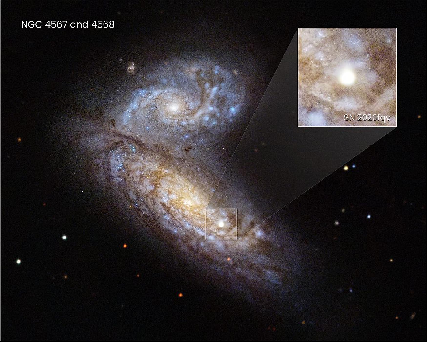 Figure 37: Astronomers recently witnessed supernova SN 2020fqv explode inside the interacting Butterfly galaxies, located about 60 million light-years away in the constellation Virgo. Researchers quickly trained NASA's Hubble Space Telescope on the aftermath. Along with other space- and ground-based telescopes, Hubble delivered a ringside seat to the first moments of the ill-fated star's demise, giving a comprehensive view of a supernova in the very earliest stage of exploding. Hubble probed the material very close to the supernova that was ejected by the star in the last year of its life. These observations allowed researchers to understand what was happening to the star just before it died, and may provide astronomers with an early warning system for other stars on the brink of death [image credits: NASA, ESA, Ryan Foley (UC Santa Cruz); Image Processing: Joseph DePasquale (STScI)]
