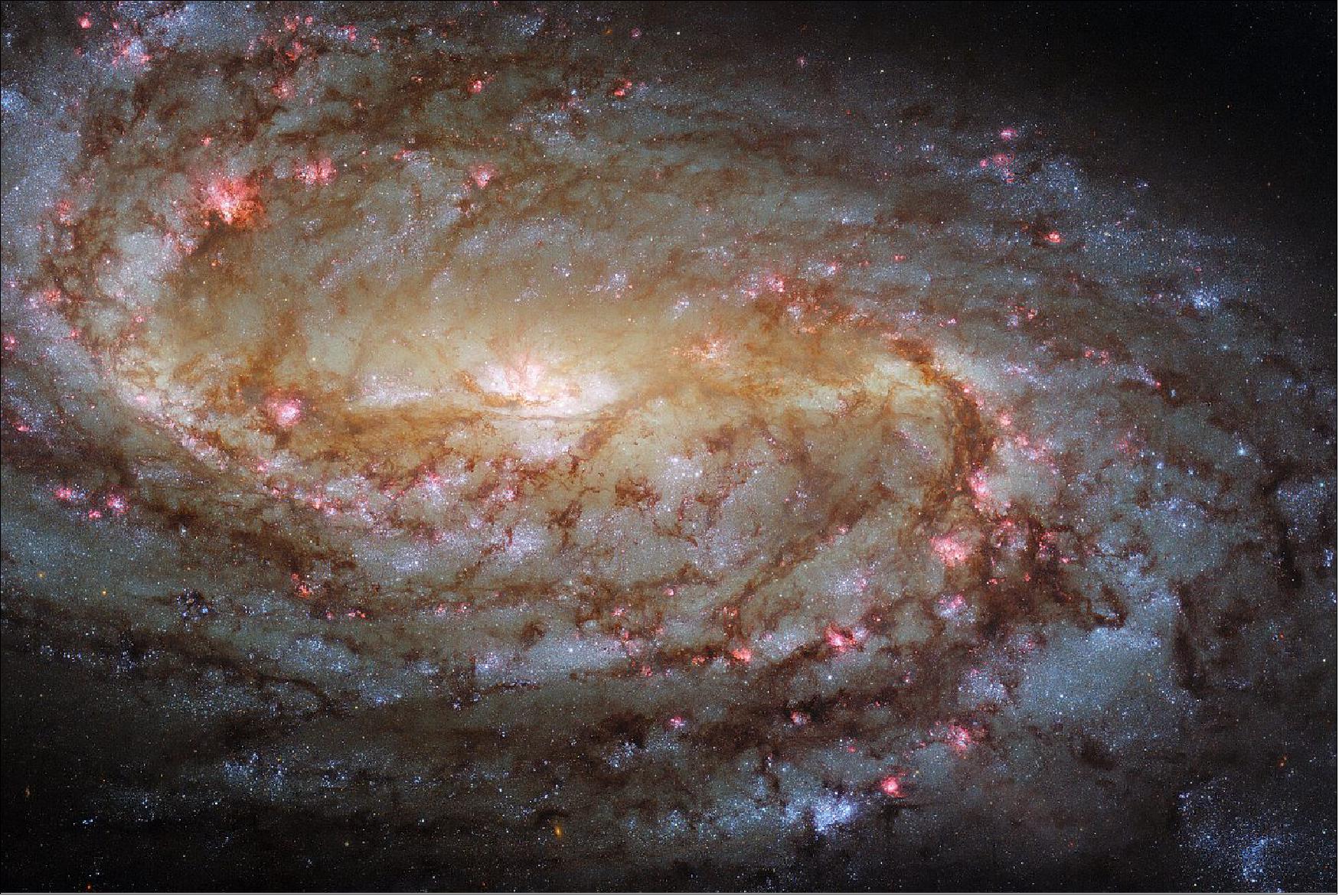 Figure 33: This jewel-bright Picture of the Week features the spiral galaxy NGC 2903. This image was captured using Hubble’s Advanced Camera for Surveys (ACS) and Wide Field Camera 3 (WFC3), which were installed on Hubble in 2002 and 2009, respectively. Interestingly, Hubble has observed this particular galaxy before, in 2001, when neither the ACS or the WFC3 had yet been installed. The 2021 image boasts higher resolution, which means that NGC 2903 is more finely detailed than in the 2001 image. The ACS and WFC2 collectively cover a wide range of ultraviolet, optical and infrared wavelengths, which means that the 2021 image also has superior wavelength coverage to that of its 20-year-old predecessor. The 2001 image was taken using the Wide Field Planetary Camera 2 (WFPC2), which was Hubble’s workhorse instrument from 1993 until 2009 when it was replaced by the WFC3 (image credit: ESA/Hubble & NASA, L. Ho, J. Lee and the PHANGS-HST Team; CC BY 4.0)