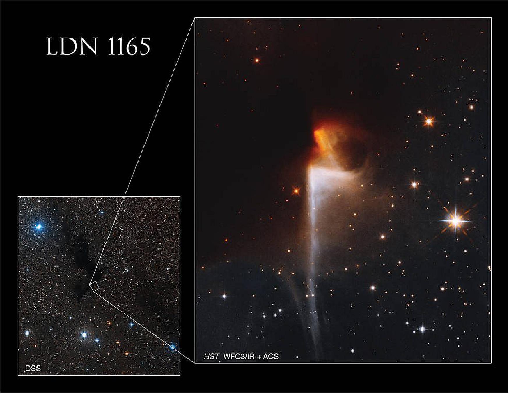Figure 22: Hubble imaged a small portion of the sinuous, inky-black dark nebula LDN 1165 [image credits: NASA, ESA, T. Megeath (University of Toledo), K. Stapelfeldt (Jet Propulsion Laboratory), and DSS; Processing: Gladys Kober (NASA/Catholic University of America)]