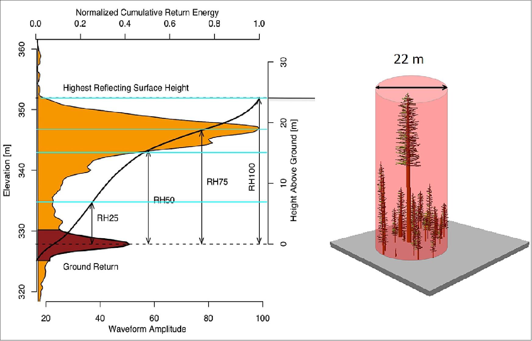 Figure 29: Shown here is a sample GEDI lidar waveform [left]. The light brown area under the curve represents return energy from the canopy, while the dark brown area signifies the return from the underlying topography. The black line is the cumulative return energy, starting from the bottom of the ground return (normalized to 0) to the top of the canopy (normalized to 1). Blue horizontal lines are the RH (Relative Height) metrics, which give the height at which a certain quantile returned energy is reached. The schematic [right] shows incident near-infrared laser beam from GEDI interacting with a canopy (image credit: Ralph Dubayah, University of Maryland, College Park)