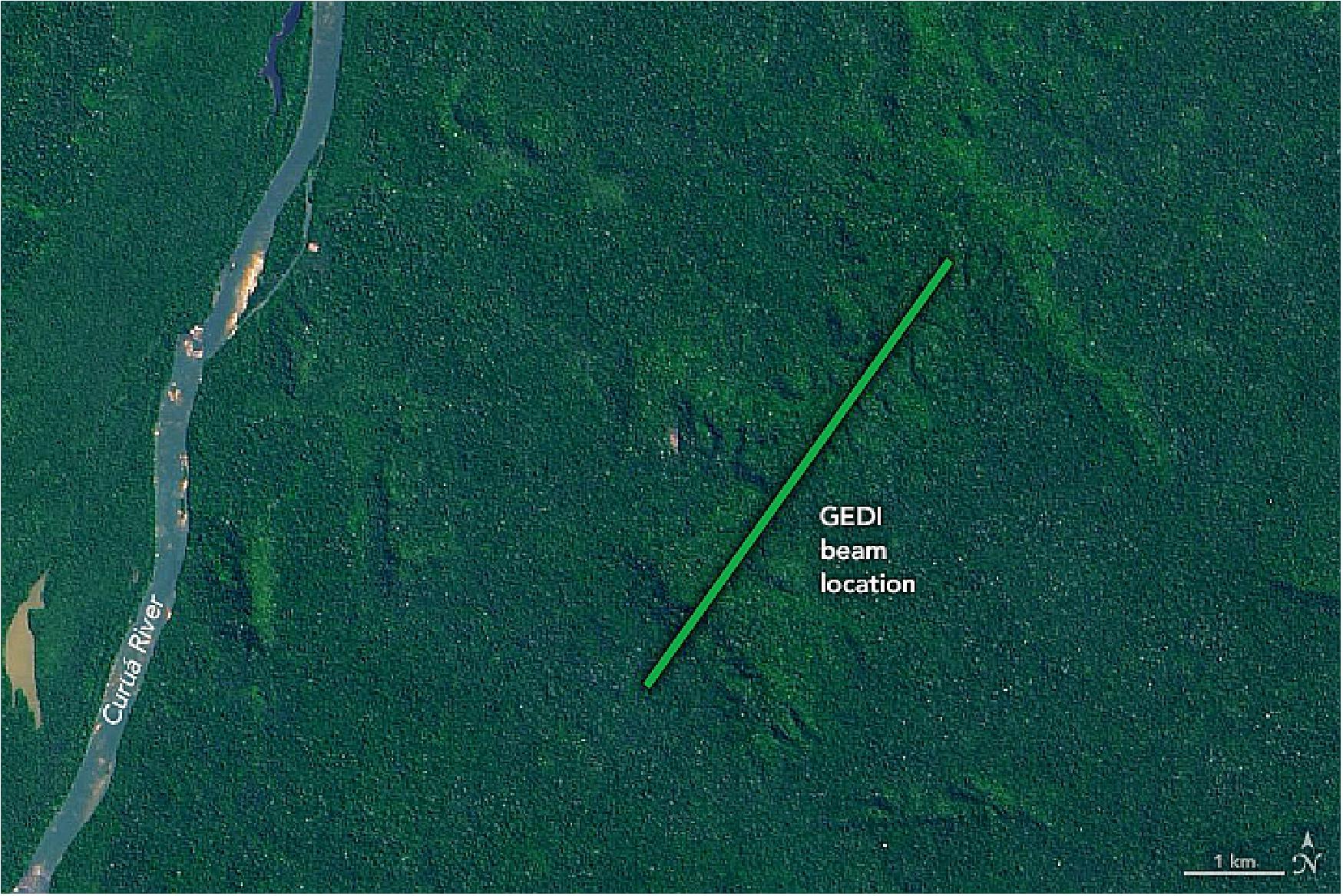 Figure 12: GEDI's three lasers cover a path roughly 4 km wide, capturing canopy height and forest structure across the swath. This track shows where the Amazon forest swath (above) was measured (image credit: NASA Earth Observatory / Lauren Dauphin)