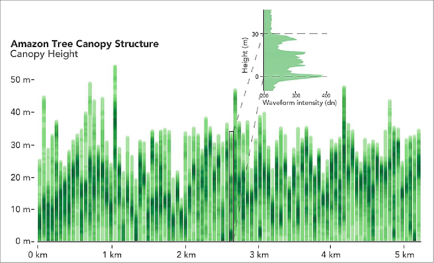 Figure 11: GEDI's view of a forest appears as a collection of waveforms that show the treetops, the ground, and the branches, leaves and open space in between. Put together, collections of waveforms begin to show the forest's structure — not only vertically, but horizontally as well. This shot of the Amazon rainforest shows the canopy height and the structure underneath (image credit: NASA Earth Observatory / Lauren Dauphin)