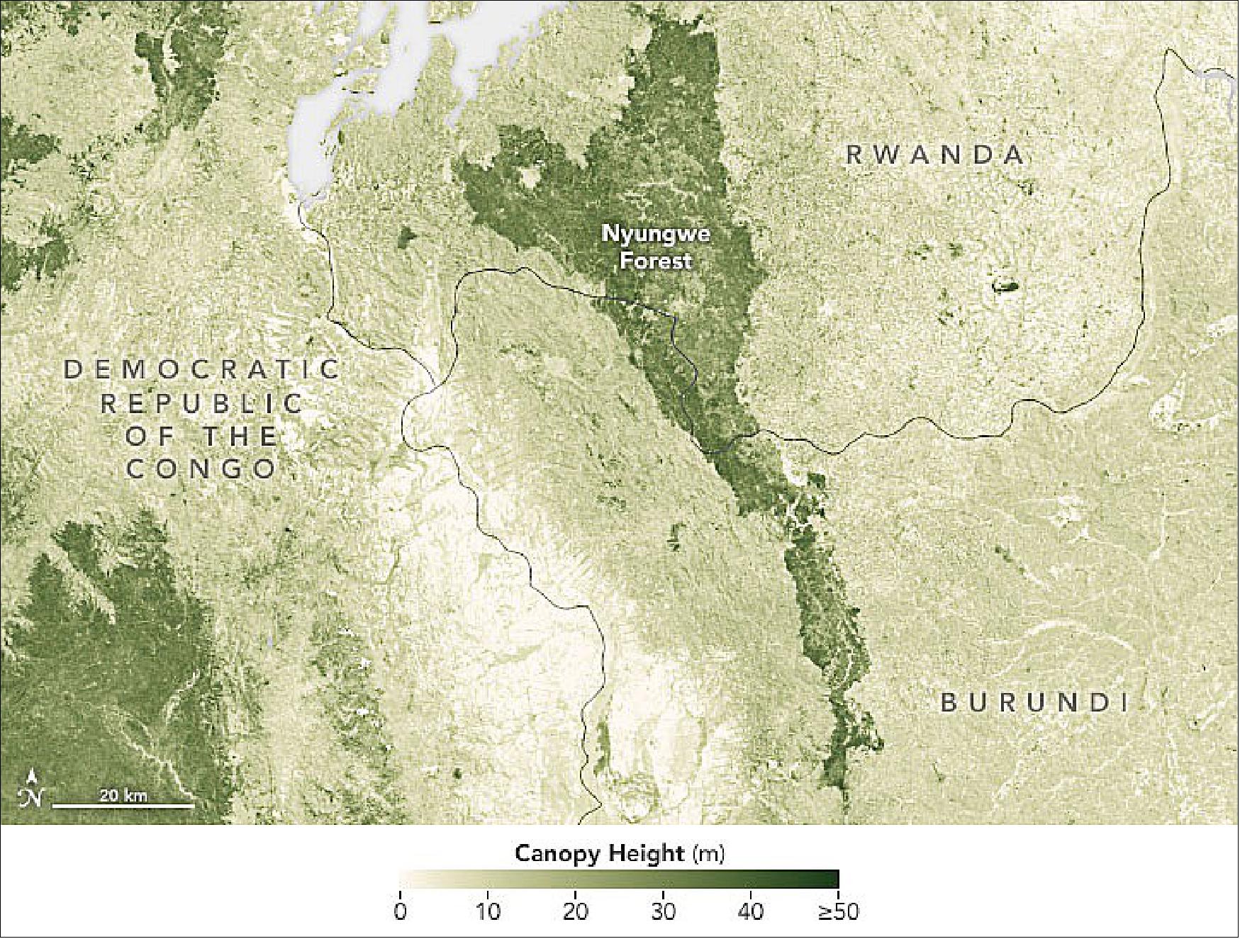 Figure 9: Detailed views also reveal that taller canopy heights often occur within the borders of protected areas. This map, for example, shows the comparatively taller trees of Nyungwe Forest in Rwanda. Declared a forest reserve in 1903, clearing was restricted but the law was not consistently enforced. In 2005, the forest was declared a national park. Since then, various projects have aimed to better protect the trees and to boost ecotourism and education on biodiversity in the park (image credit: NASA Earth Observatory)