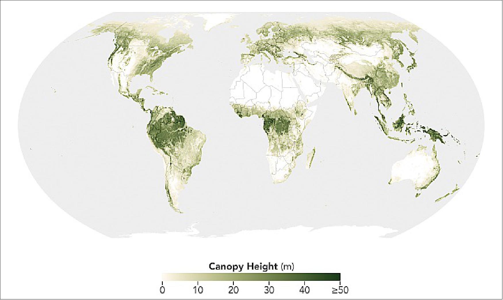 Figure 7: The map shows the height of Earth's forests, from stubby saplings to timbers towering more than 50 meters tall. It reveals some patterns you might expect, such as taller forests hugging the equator in the Amazon, central Africa, and Indonesia. But tall trees show up outside the tropics, too. For example, giant sequoias in California can grow to nearly 80 meters (260 feet) tall; Bhutan pines in the eastern Himalayas reach similar heights, exceeding the scale of this map(image credit: NASA Earth Observatory images by Joshua Stevens, using data courtesy of Lang, N. et al. (2022). Story by Kathryn Hansen)