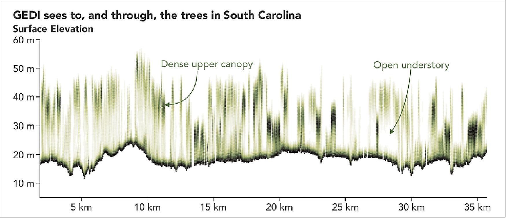 Figure 16: When scientists process GEDI's data, the resulting measurements reveal the vertical structure of the forest. This GEDI image is of a South Carolina woodland where darker green shows where the leaves and branches are denser, while the lighter areas show where the canopy is less dense (image credit: Joshua Stevens / NASA Earth Observatory, Bryan Blair / NASA Goddard Space Flight Center, Michelle Hofton and Ralph Dubayah / University of Maryland)