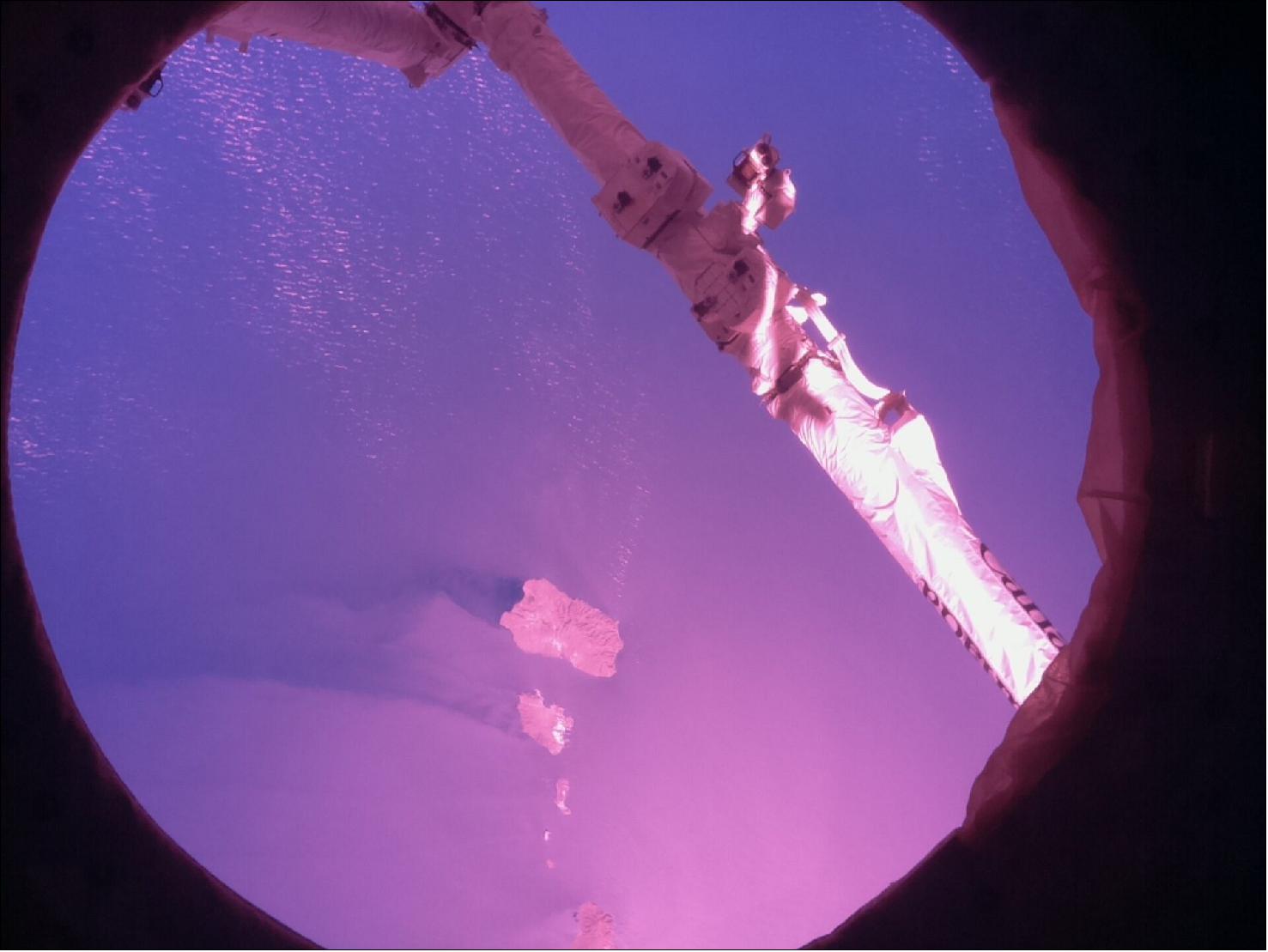 Figure 67: CANADARM from Astro Pi Izzy’s view of Earth (image credit: ESA/NASA)