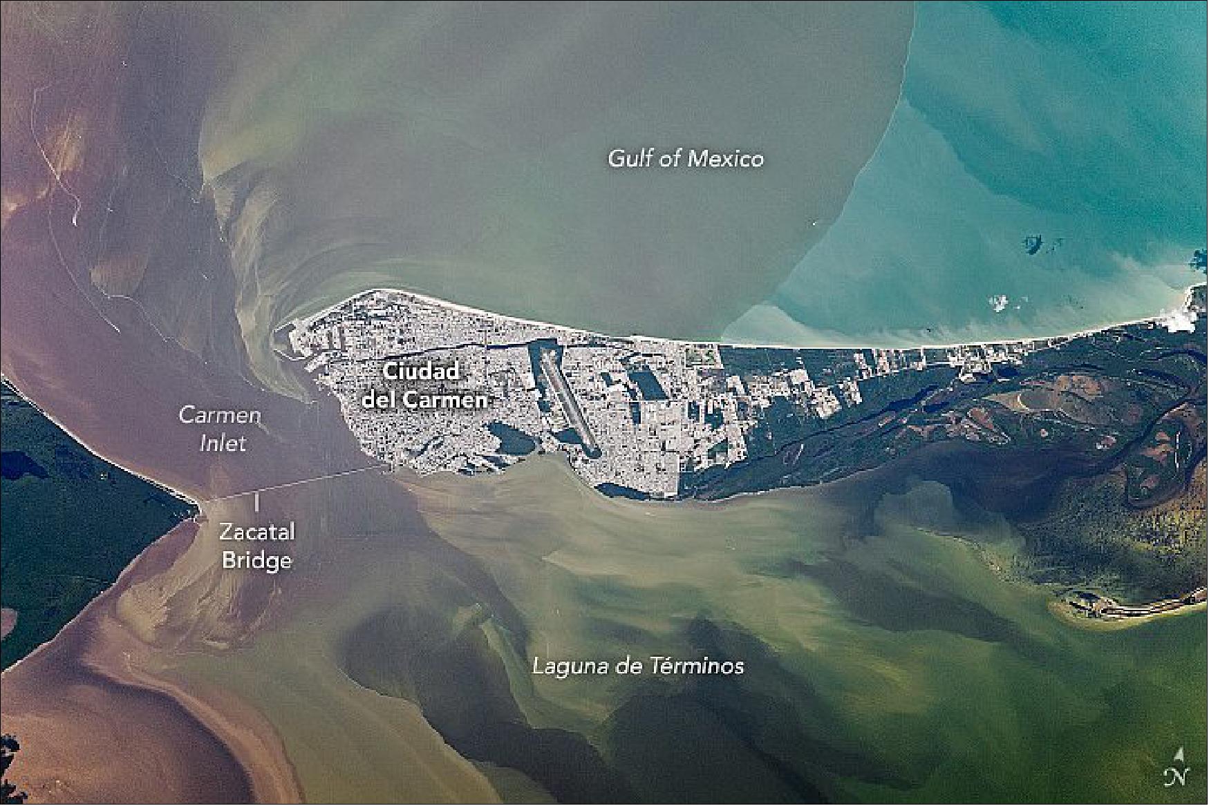 Figure 75: Circulation patterns stir up abundant sediment around the largest coastal lagoon on the Gulf Coast. The astronaut photograph ISS064-E-7784 was acquired on November 29, 2020, with a Nikon D5 digital camera using a focal length of 800 mm. It is provided by the ISS Crew Earth Observations Facility and the Earth Science and Remote Sensing Unit, Johnson Space Center. The image was taken by a member of the Expedition 64 crew. The image has been cropped and enhanced to improve contrast, and lens artifacts have been removed (image credit: NASA Earth Observatory, caption by Sara Schmidt)