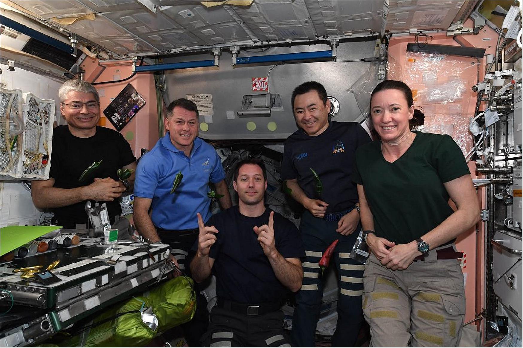 Figure 17: NASA's SpaceX Crew-2 astronauts Shane Kimbrough (second from left), Thomas Pesquet (middle), Akihiko Hoshide (second from right), and Megan McArthur (far right) are photographed aboard the International Space Station, just before they prepare to sample freshly harvested mild heat chile peppers on Oct. 29, 2021. Mission teams are considering whether to return the Crew-2 mission ahead of launching the next crew rotation, with the earliest possible opportunity for undocking at 1:05 p.m. EST on Nov. 7. At far left is NASA astronaut and Expedition 66 flight engineer Mark Vande Hei, who will remain at the station to welcome NASA's SpaceX Crew-3 astronauts when they arrive (photo credit: NASA)