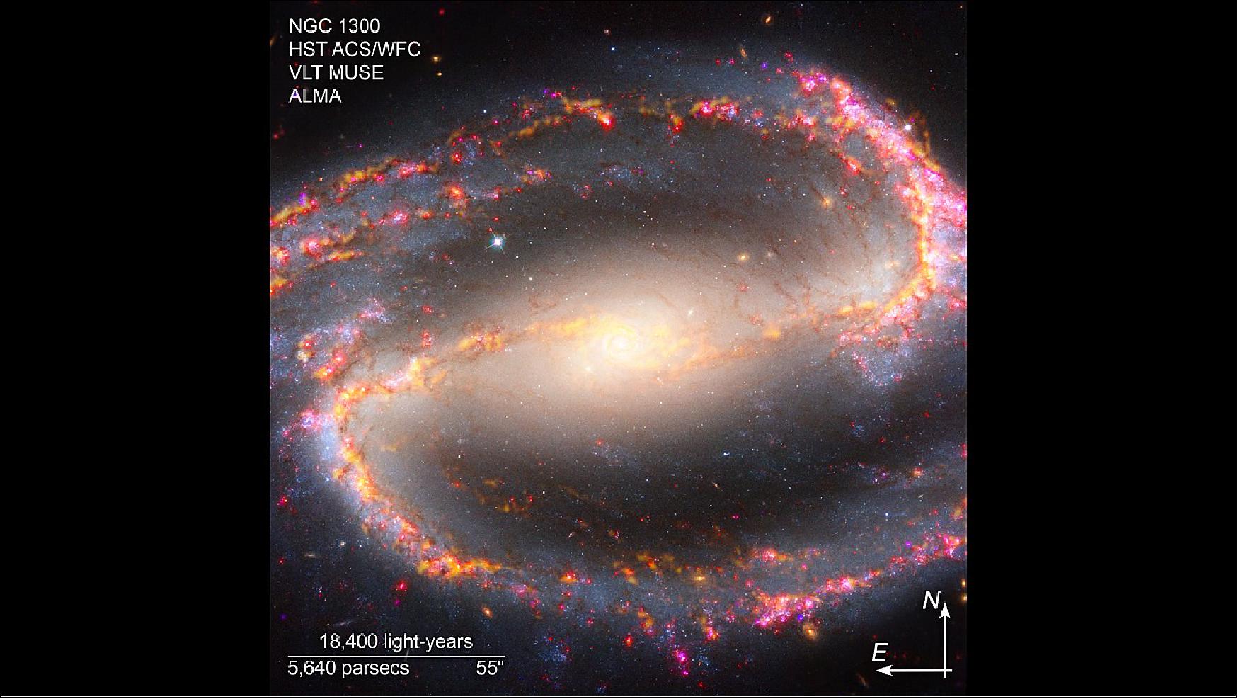 Figure 6: Multi-Wavelength View of NGC 1300 Compass (credits: Science: NASA, ESA, ESO-Chile, ALMA, NAOJ, NRAO)