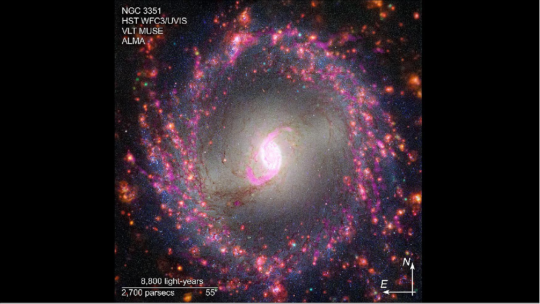 Figure 4: Multi-Wavelength View of NGC 3351 Compass (image credit: Science: NASA, ESA, ESO-Chile, ALMA, NAOJ, NRAO)