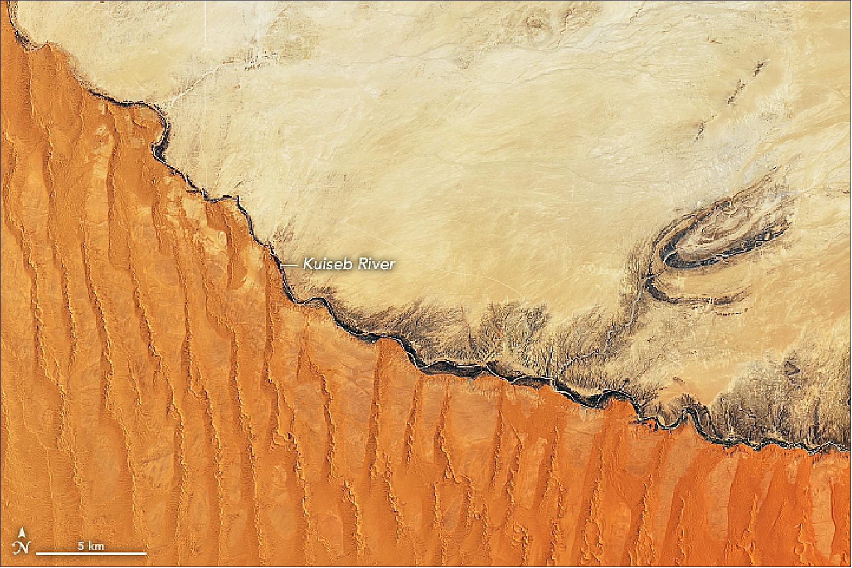 Figure 135: The abrupt transition from sand to land is visible in these images (Figures 134 & 135), acquired on November 13, 2019, by the Operational Land Imager (OLI) on Landsat-8. They show the northern extent of the Namib Sand Sea—a field of sand dunes spanning more than 3 million hectares (more than 10,000 square miles) within the Namib-Naukluft Park, which was named a UNESCO World Heritage site in 2013. Sand appears red, painted by a layer of iron oxide (image credit: NASA Earth Observatory, images by Joshua Stevens, using Landsat data from the U.S. Geological Survey. Story by Kathryn Hansen)
