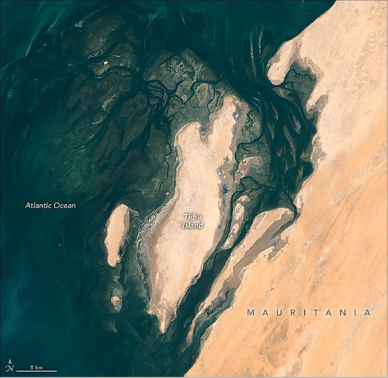 Figure 99: A bounty of marine life thrives within the shoals and seagrass beds of the park. So it was on December 28, 2019, when the Operational Land Imager (OLI) on Landsat 8 captured this natural-color image of the park’s shallow coastal waters. The mostly barren dunes on the shore drew a contrast with the maze of coastal mudflats (dark brown) and shallow seagrass beds (green) that grow beneath a few meters of water. Deeper channels (dark blue) meander and flow among the sea grass and sandy shoals (image credit: NASA Earth Observatory, image by Lauren Dauphin, using Landsat data from the U.S. Geological Survey. Caption by Adam Voiland)