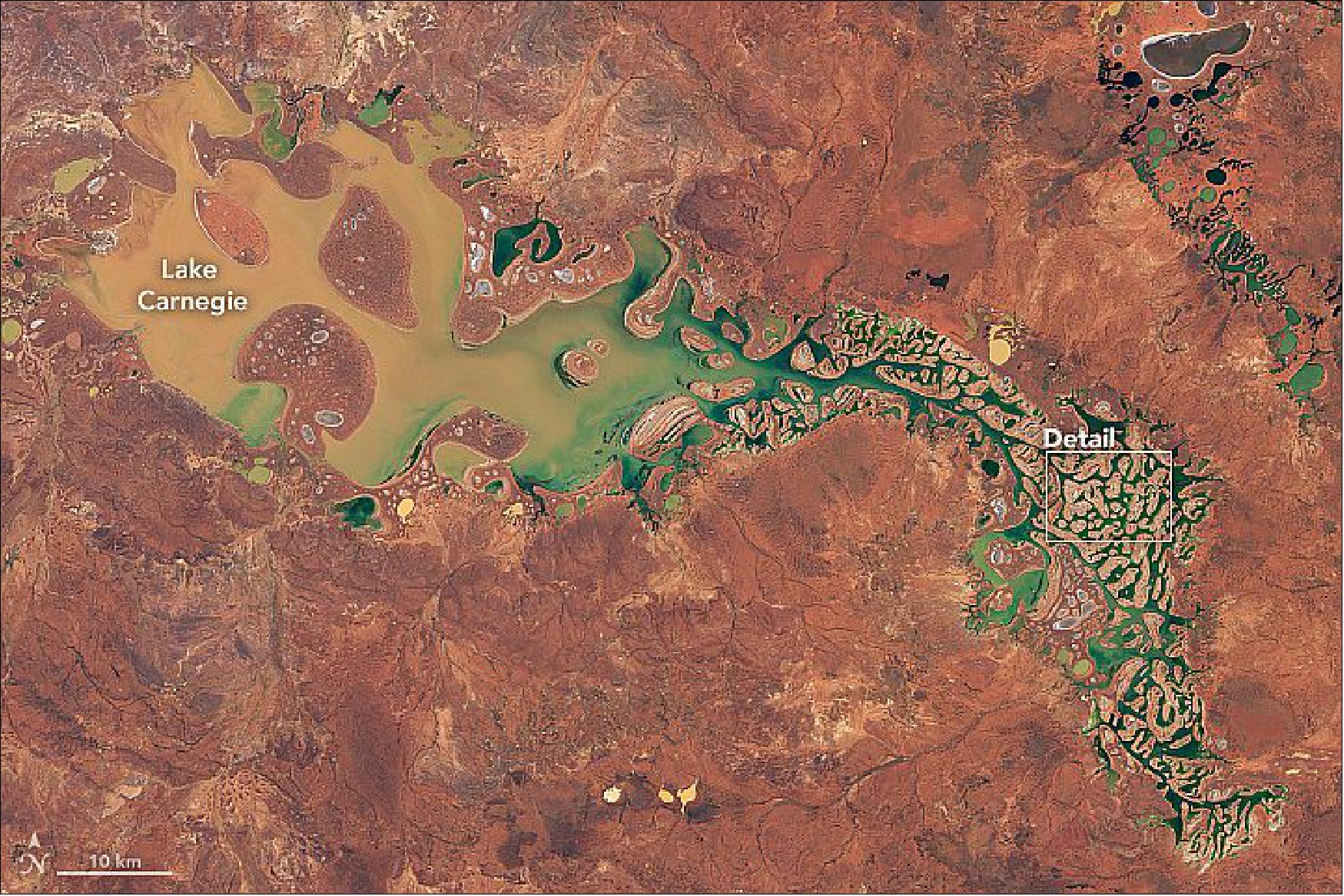 Figure 98: Thanks to a wet summer, water levels rose in this ephemeral lake in Western Australia. OLI image of Lake Carnegie acquired on 26 March 2020 (image credit: NASA Earth Observatory)