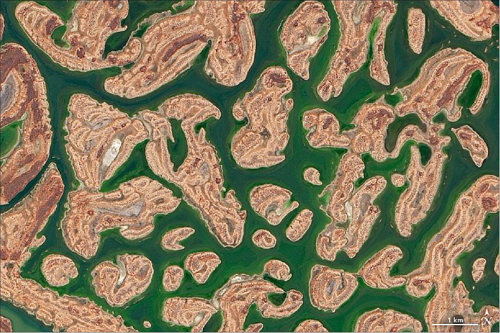 Figure 97: Detail image of Lake Carnegie. Located in the Shire of Wiluna in Western Australia, Lake Carnegie is one the country’s largest lakes. When full, it is covers about 5,700 square kilometers (2,200 square miles). In dry years, the lake is mostly a muddy marsh. The images show the lake on March 26, 2020, when it was still partially filled. The images were acquired by the Operational Land Imager (OLI) on Landsat 8 (image credit: NASA Earth Observatory, images by Lauren Dauphin, using Landsat data from the U.S. Geological Survey. Story by Kasha Patel)