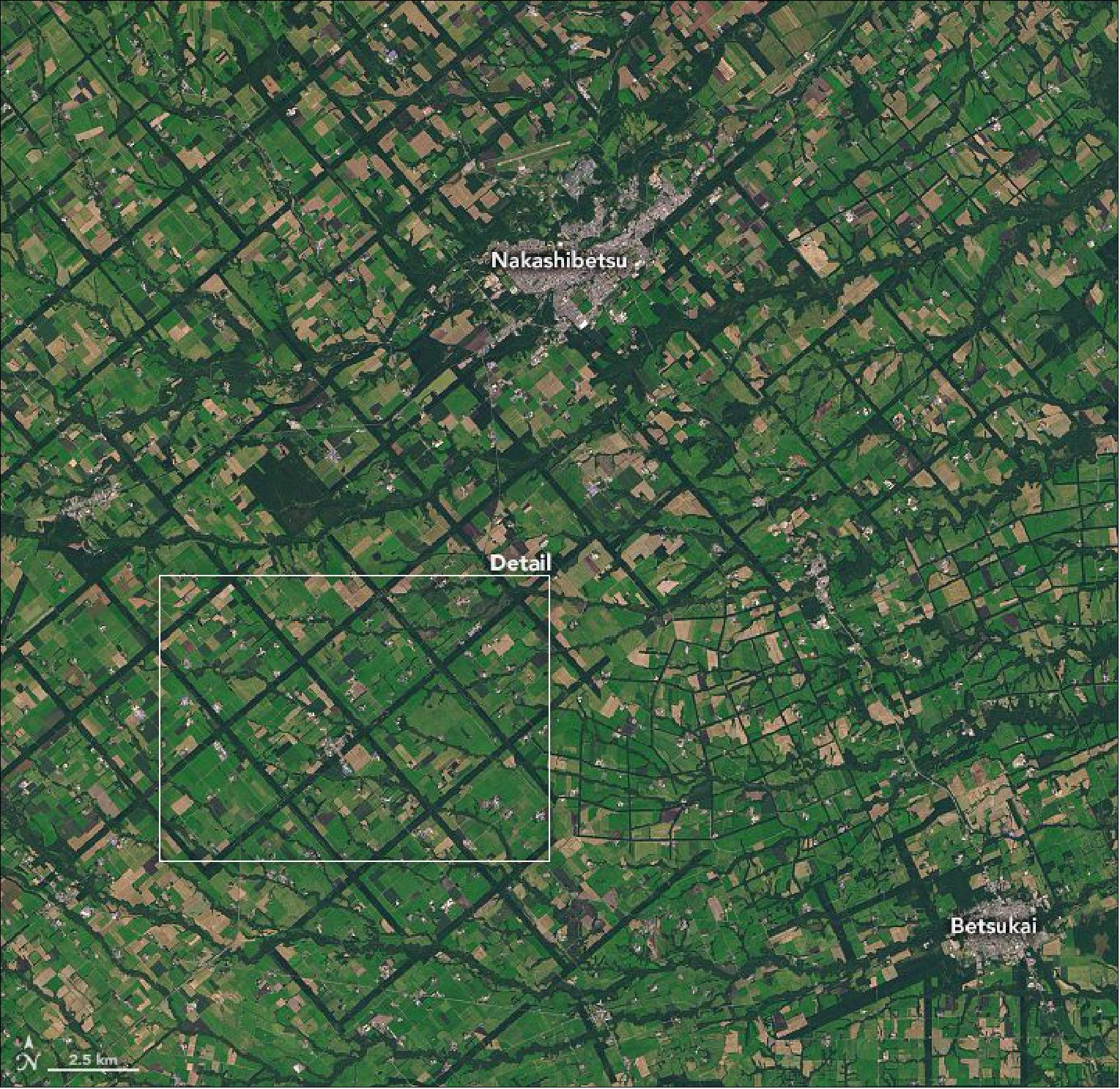 Figure 91: From above, the Konsen Plateau in eastern Hokkaido offers a remarkable sight: a massive grid that spreads across the rural landscape like a checkerboard. As seen in this pair of natural-color images, the pattern is clear year-round—even under a blanket of snow. Both images were acquired by the Operational Land Imager (OLI) on Landsat-8. This image was acquired on 27 September 2019 (NASA Earth Observatory, images by Lauren Dauphin, using Landsat data from the U.S. Geological Survey. Story by Adam Voiland)