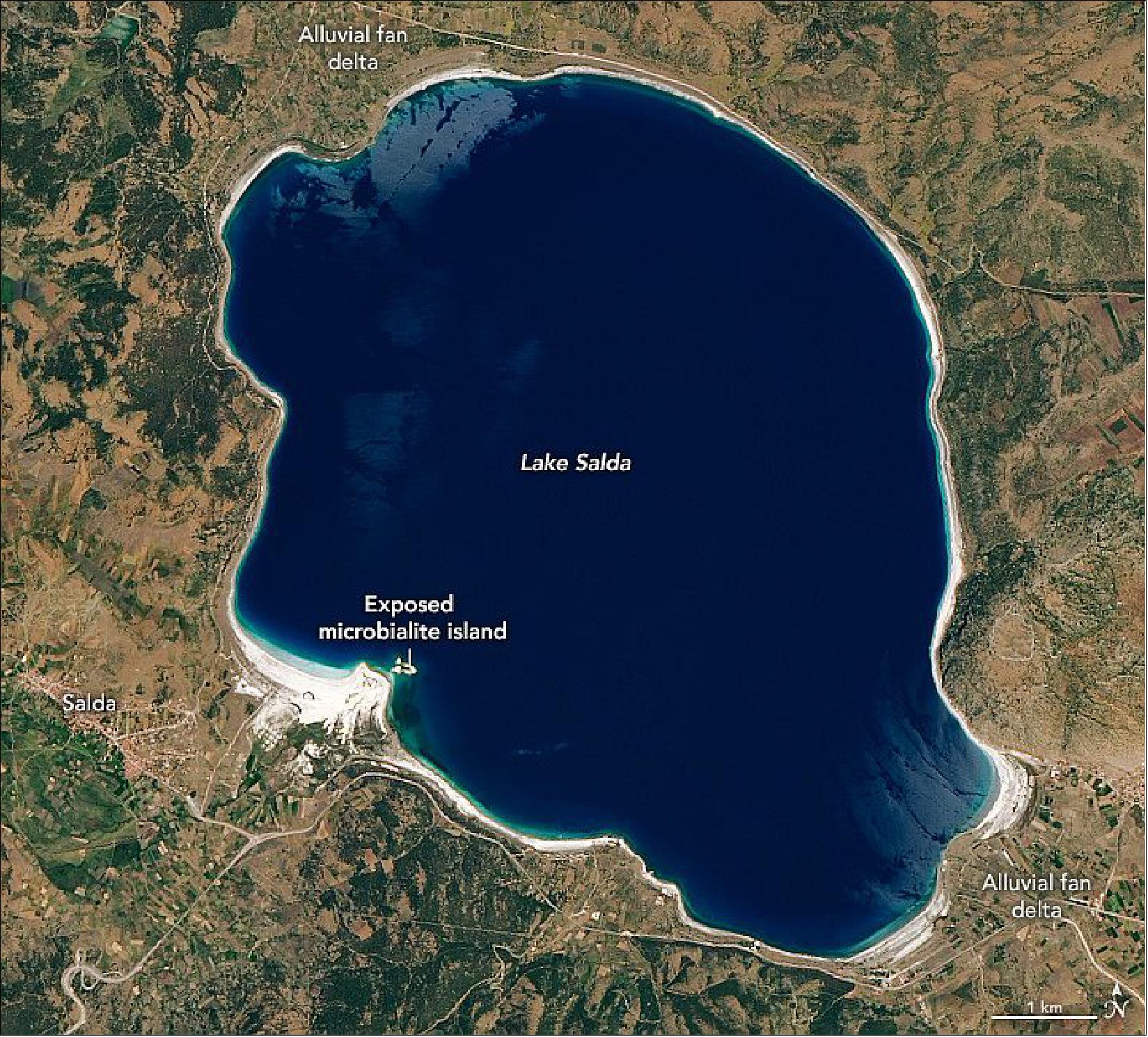 Figure 60: Though located a world away, Lake Salda, Turkey, shares similar mineralogy as Jezero Crater on Mars. The image shows Lake Salda on June 8, 2020, as observed by the Operational Land Imager (OLI) on Landsat-8. The lake contains alluvial fans full of rock deposits eroded and washed down from the surrounding bedrock (similar to the delta in Jezero). By studying how material is deposited in Lake Salda, the team can learn more about the various depositional processes at Lake Jezero (image credit: NASA Earth Observatory, image by Lauren Dauphin, using Landsat data from the U.S. Geological Survey. Story by Kasha Patel)