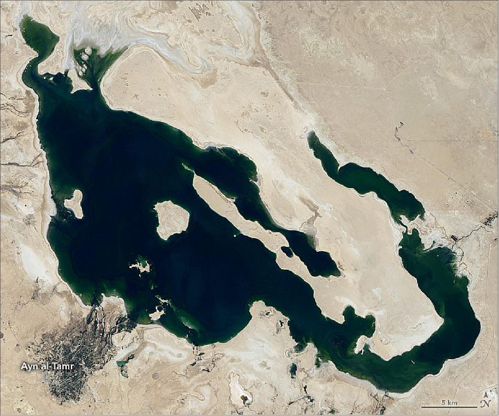 Figure 33: Image of Lake Milh acquired with the Landsat-8 OLI instrument on 21 August 2020 (image credit: NASA Earth Observatory)