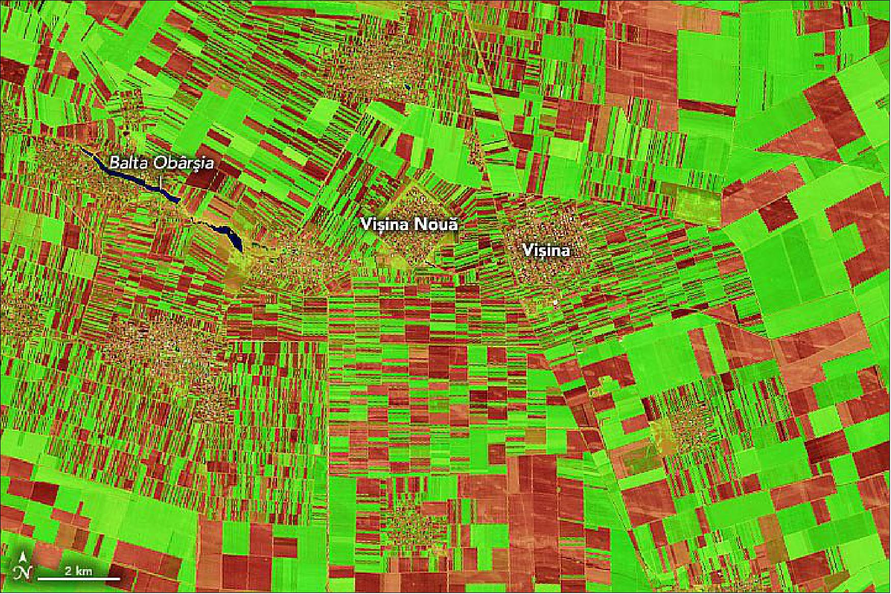 Figure 28: Farther south beyond the foothills, farming on the Oltenia Plain appears even more widespread. This image shows a detailed view of bright green crops mixed with brown and red bare ground. The square-shaped boundaries of villages, such as Visina Nouă and Visina, add to the geometric patchwork. Only the thin lake (Balta Obârsia) breaks up the scene with a natural shape (image credit: NASA Earth Observatory)