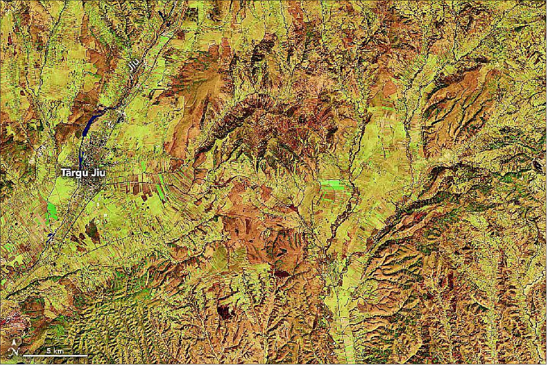 Figure 27: This image shows a detailed view of the foothills along the Jiu River. The gray patch on the river bank is Târgu Jiu, the capital city of Gorj County. Away from the city, long, narrow farms are generally laid out perpendicular to the rivers and streams. Orchards and vineyards are common across the hilly region, as is pastoral sheep farming (image credit: NASA Earth Observatory)