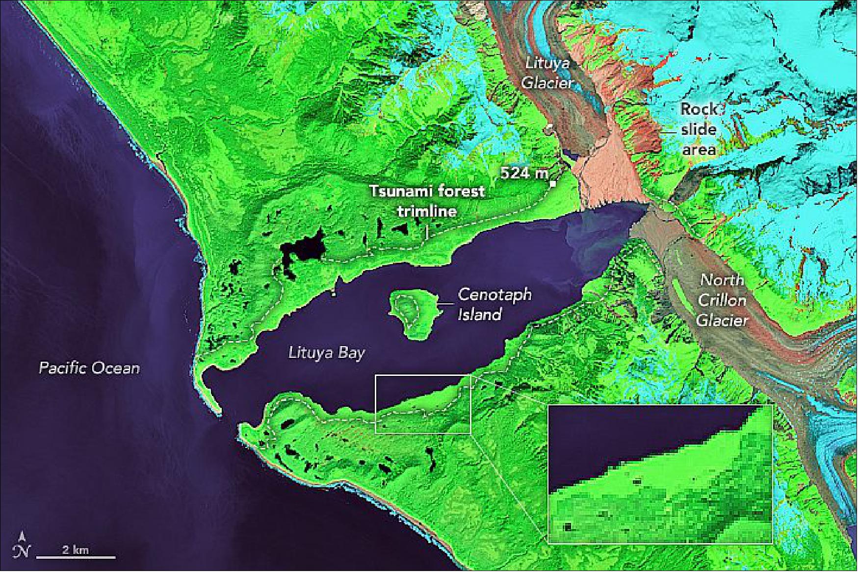 Figure 15: Evidence of the cataclysmic wave is still visible from space more than 60 years later. As seen in the false-color Landsat-8 image (bands 7-5-3) at the top of the page, the damaged trimline is still imprinted in the forest. The lighter green areas along the shore indicate places where forests are younger than older trees (darker areas) that were not affected by the tsunami. When the tsunami hit, it snapped all of the trees and scoured away almost all vegetation. Some 2 square miles (4 km2) of forest were sheared and swept away by the tsunami waves (image credit: NASA Earth Observatory image by Lauren Dauphin, using Landsat data from the U.S. Geological Survey. Aerial photos of Lituya Bay and the source of the rockslide by Don Miller for the USGS. Story by Adam Voiland)