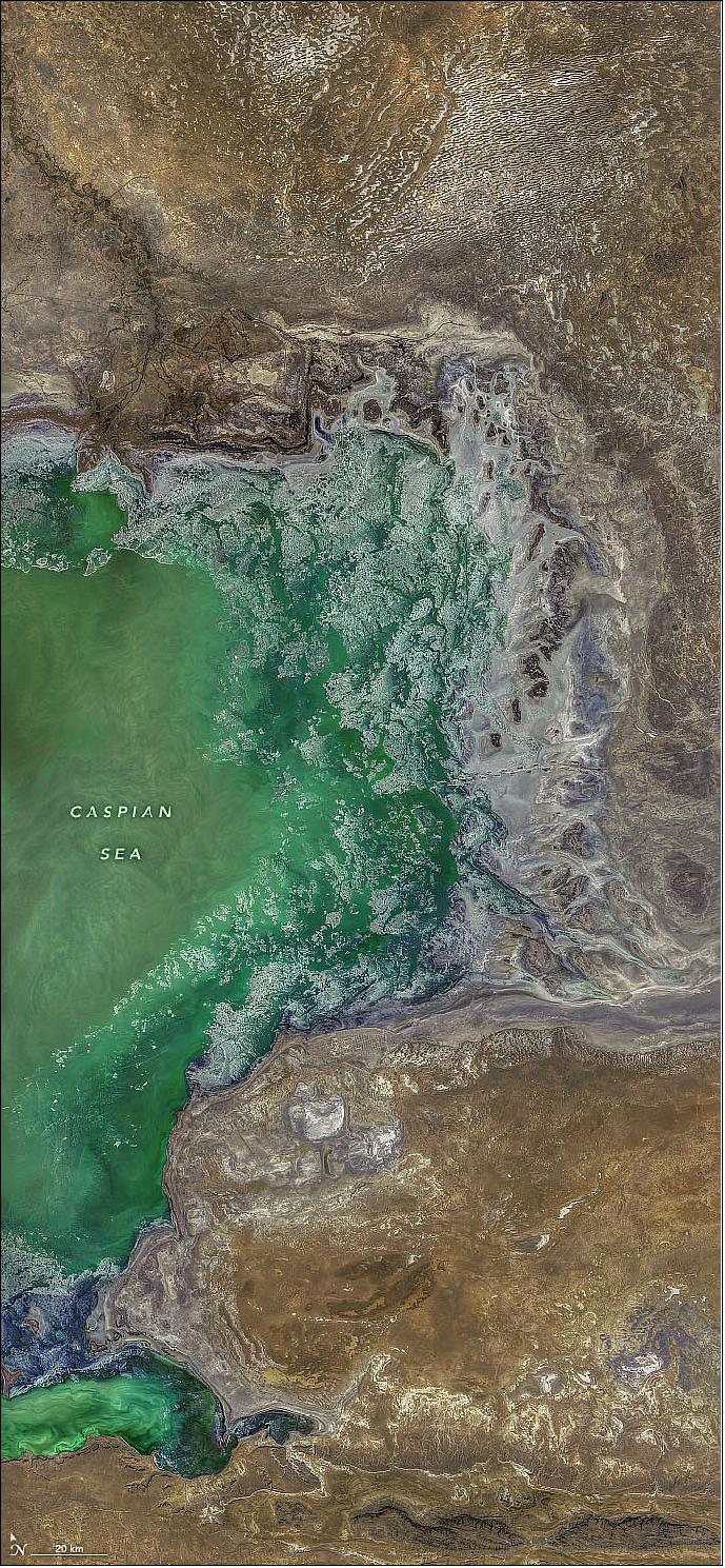 Figure 1: The image shows the northeastern portion of the Caspian on November 20, 2020. The lake is bordered by Kazakhstan in the northeast, Turkmenistan in the southeast, Iran in the south, Azerbaijan in the southwest, and Russia in the northwest. The images below offer six different closeups of the northeastern section as winter arrived. All images were acquired by the Operational Land Imager (OLI) on Landsat-8 (image credit: NASA image by Norman Kuring/NASA's Ocean Color Web, using Landsat data from the U.S. Geological Survey. Story by Kasha Patel)
