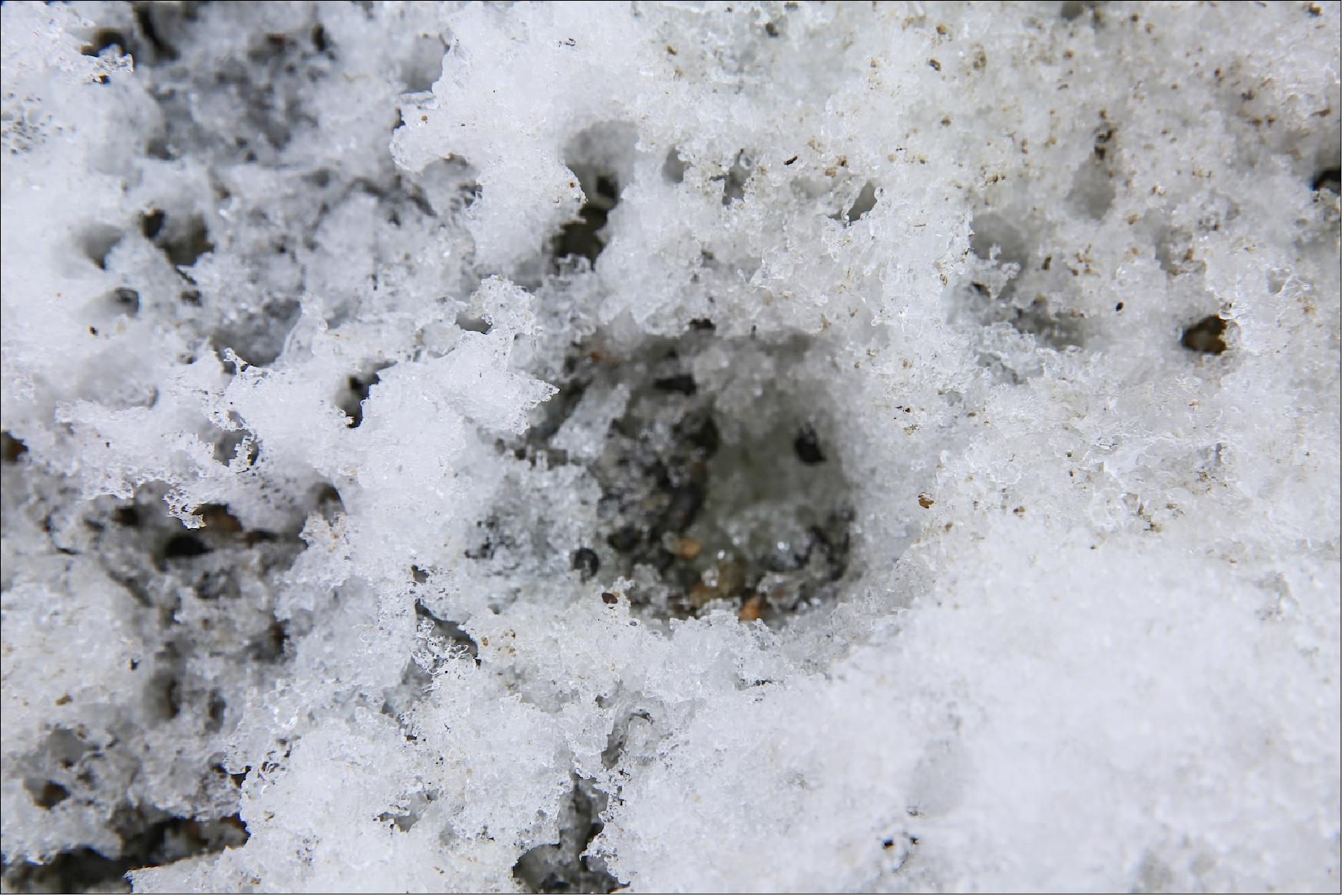 Figure 22: Ice Rafted Debris (IRD) in Sea ice found on the MOSAiC Floe Fortress (Photo: Lisa Grosfeld)