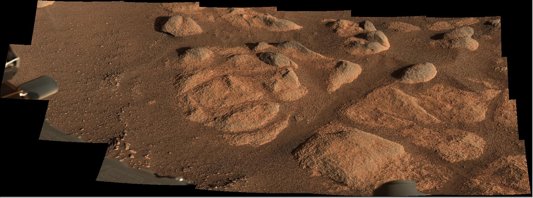 Figure 29: Perseverance's Mastcam-Z images intriguing rocks (image credit: NASA/JPL-Caltech/ASU/MSSS)