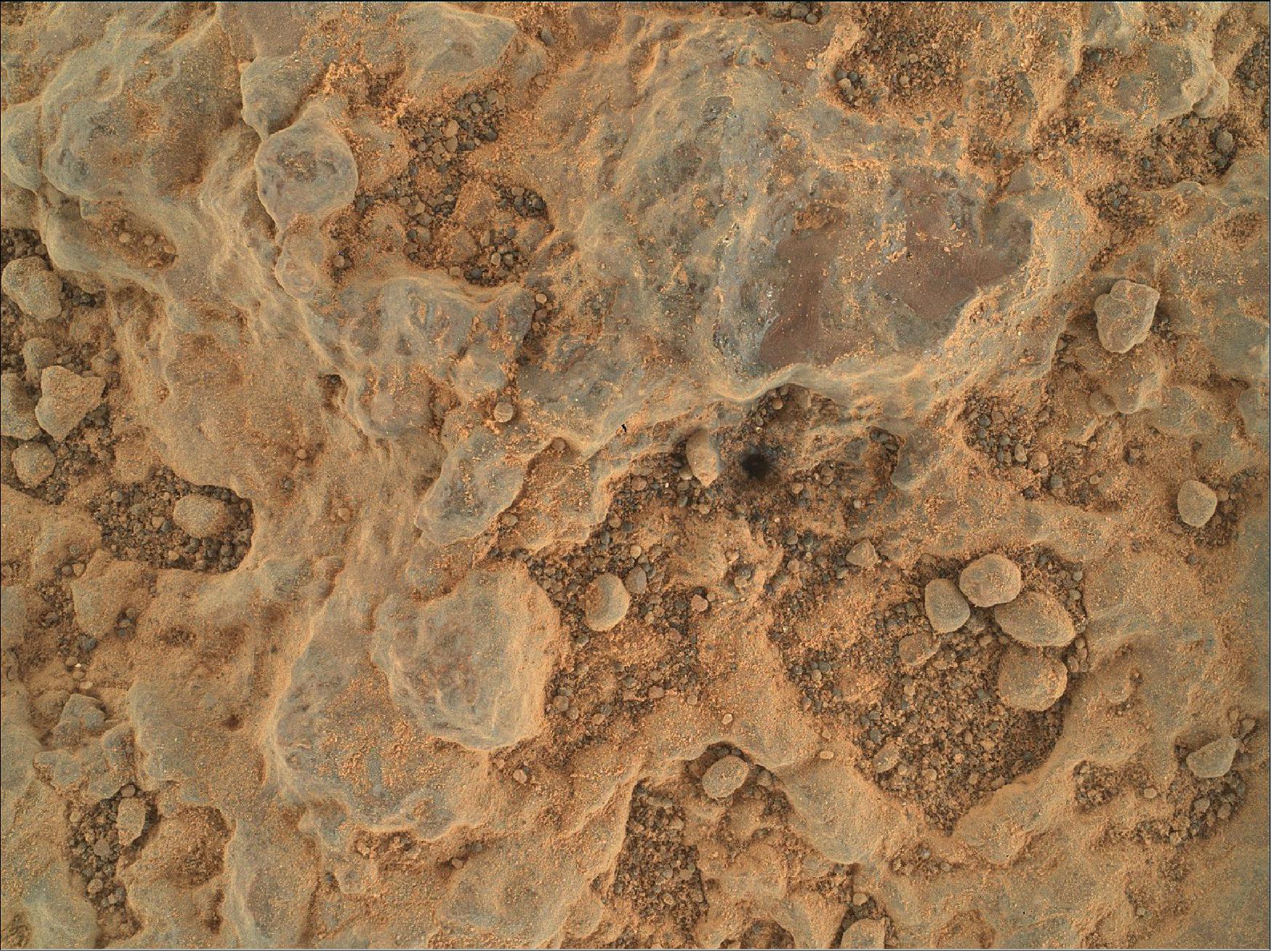 Figure 17: NASA's Perseverance Mars rover took this close-up of a rock target nicknamed "Foux" using its WATSON camera on the end of the rover's robotic arm. The image was taken July 11, 2021, the 139th Martian day, or sol, of the mission (image credit: NASA/JPL-Caltech/MSSS)