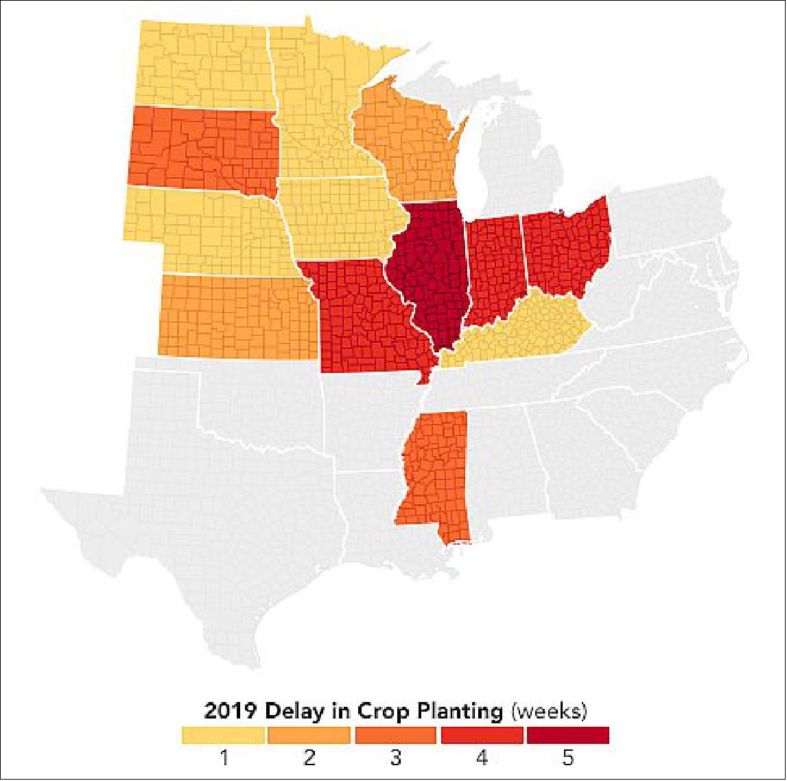 Figure 14: The 2019 maps tell a different story. By the end of April 2019, the U.S. had experienced its wettest 12-month period on record. The Midwest was hit particularly hard, with saturated soils and widespread flooding across the Mississippi and Missouri river watersheds. The conditions caused farmers to delay planting by a few weeks in most states and up to five weeks in Illinois. As a result, fluorescence that year was weaker than usual in June and July, when croplands were much less productive. August and September showed higher-than-usual fluorescence, indicating an extended growing season. But the 2019 season as a whole was still not as productive as 2018 (image credit: NASA Earth Observatory)