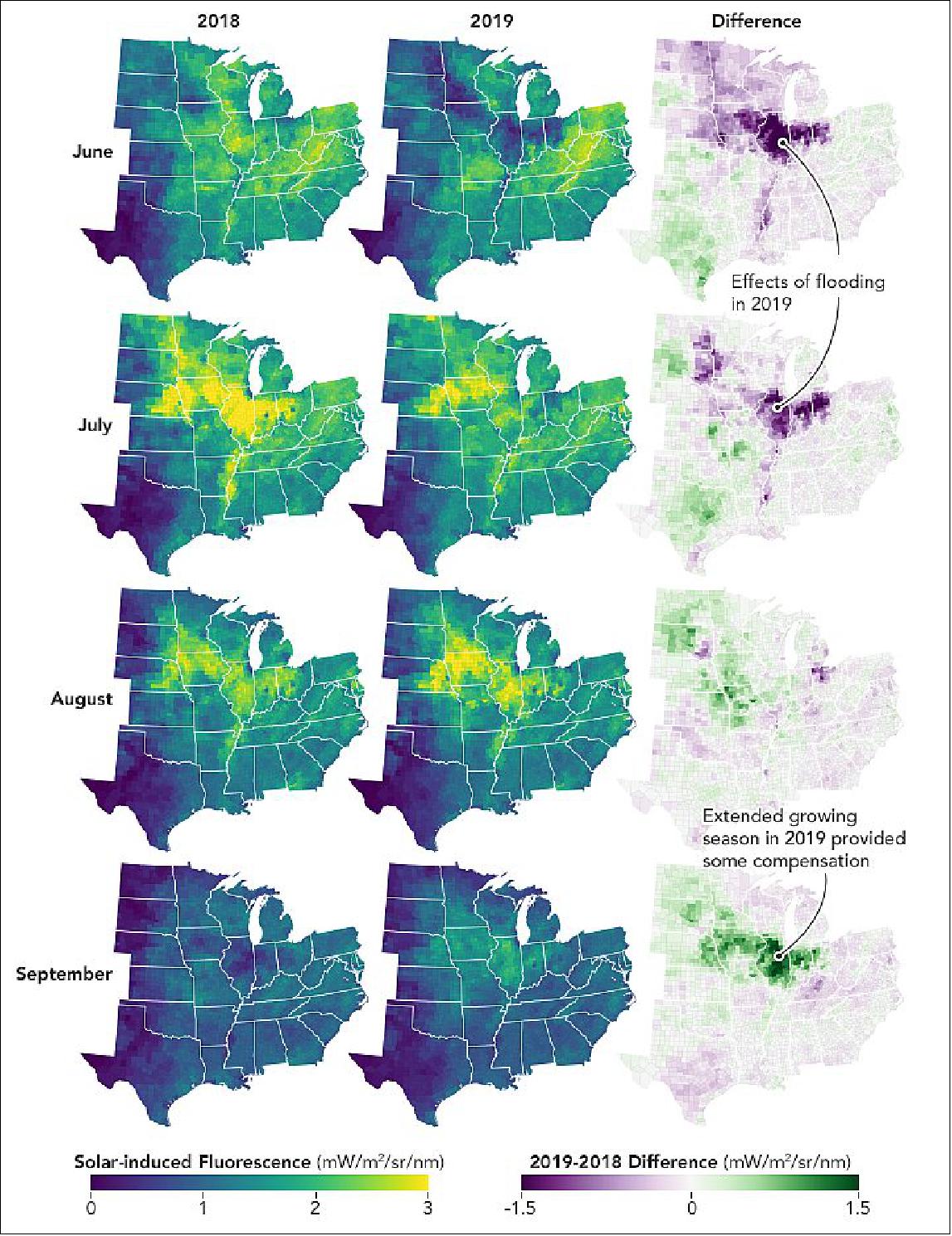 Figure 13: As scientists detect plant fluorescence in better detail, they inch closer to helping farmers respond to extreme weather and close in on understanding how carbon cycles through ecosystems. The maps above show how the solar induced fluorescence signal evolved across the Midwest during a typical growing season (2018) and during the record precipitation and flood conditions of 2019. The third column shows the difference between the two years. Notice that fluorescence in 2018 peaked strongly in July and then declined, which is the typical progression of productivity across Midwest croplands (image credit: NASA Earth Observatory, images by Joshua Stevens, using data courtesy of Yin, Y. et al. (2020). Story by Kathryn Hansen)