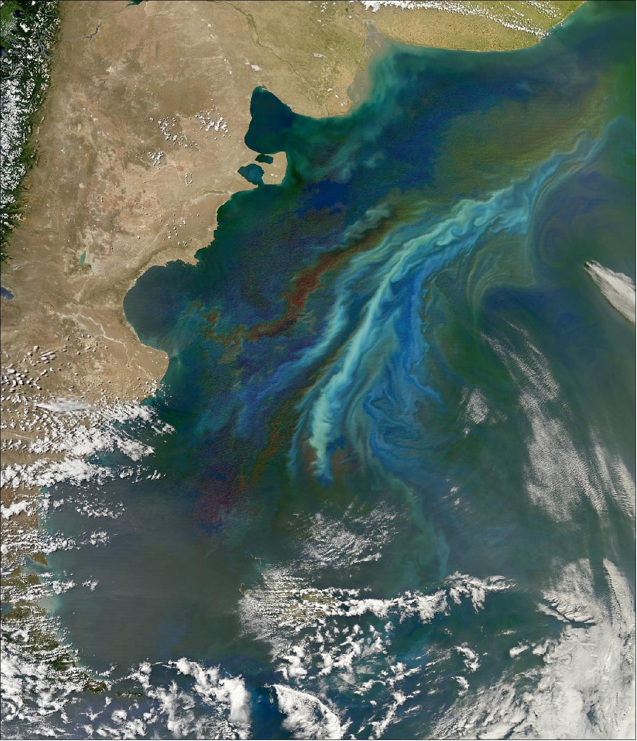 Figure 14: Off the coast of Argentina, two strong ocean currents recently stirred up a colorful brew of floating nutrients and microscopic plant life just in time for the summer solstice, Dec. 21, 2010. The Moderate Resolution Imaging Spectroradiometer (MODIS) on NASA's Aqua satellite captured this image of a massive phytoplankton bloom off of the Atlantic coast of Patagonia (image credit: NASA's Earth Observatory, Norman Kuring, Ocean Color Web)