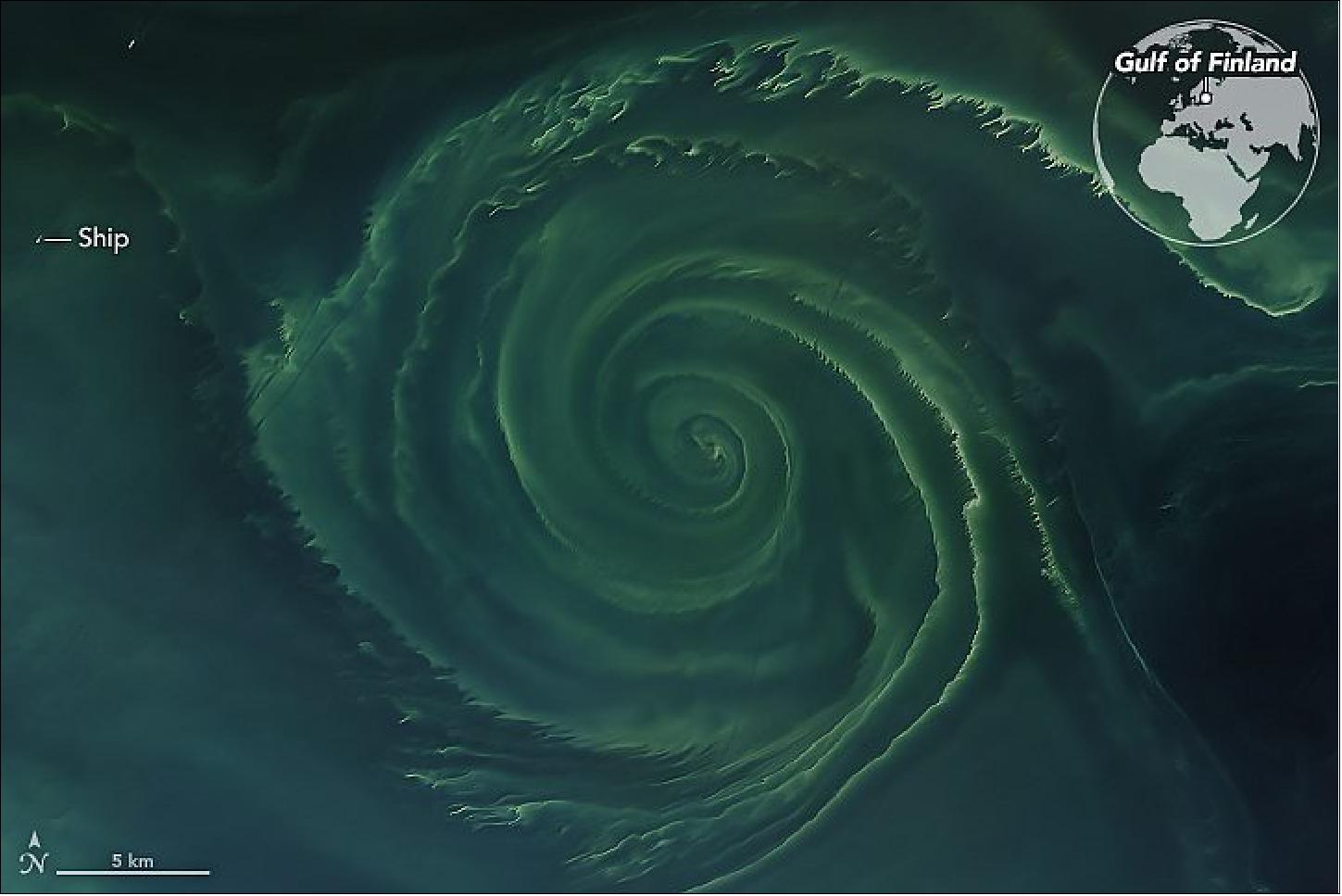 Figure 9: Summer blooms in the Baltic Sea. PACE's Ocean Color Instrument (OCI) will give scientists valuable information about phytoplankton species, community structure and health. Understanding phytoplankton health can help predict harmful algal blooms, or HABs, which can generate harmful toxins that sicken marine wildlife and humans and deplete oxygen in the water as bacteria feed on numerous dead algae (image credits: NASA Earth Observatory / Joshua Stevens & Lauren Dauphin)