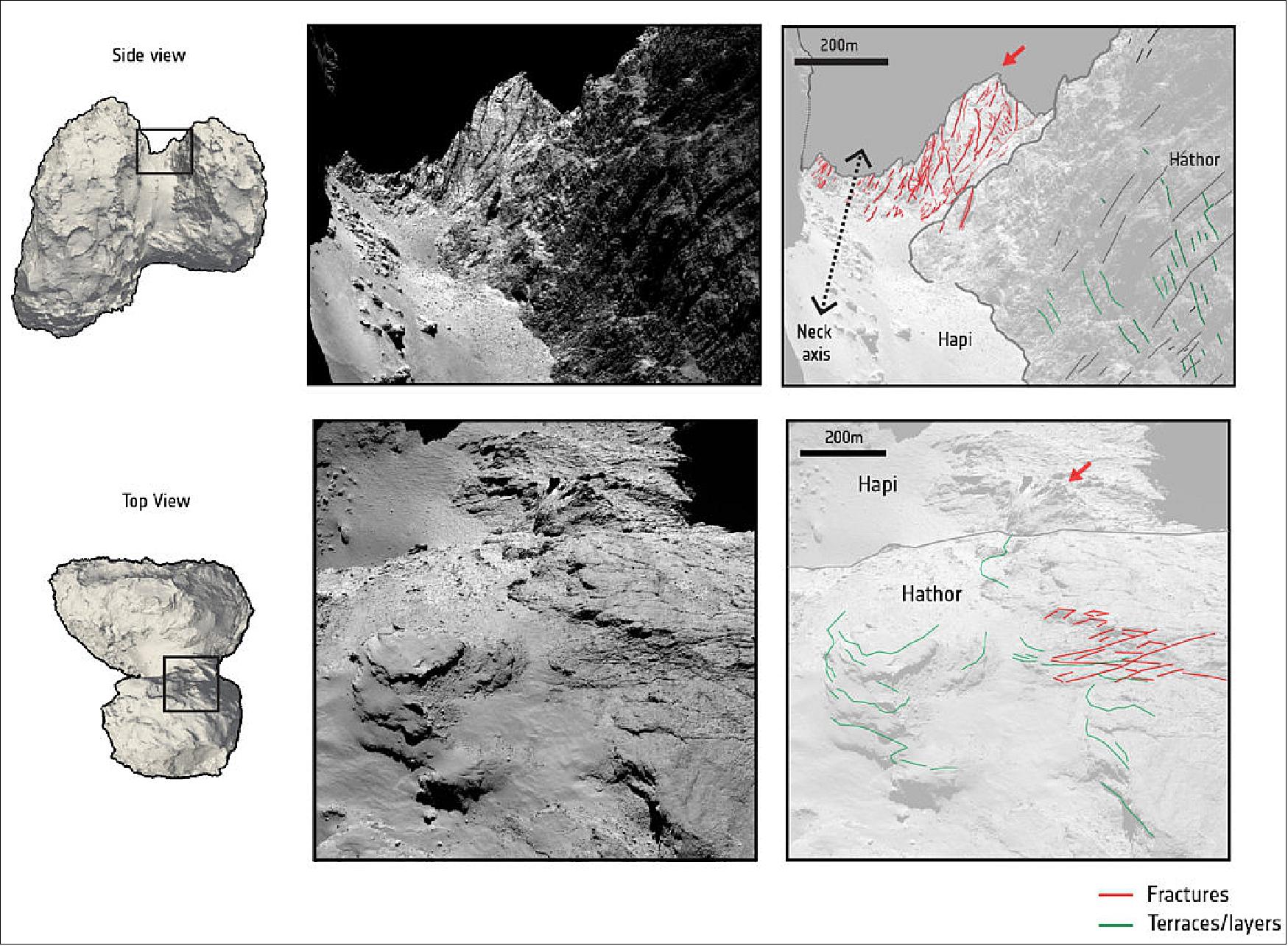 Figure 62: These images show how Rosetta's dual-lobed comet, 67P/Churyumov-Gerasimenko, has been affected by a geological process known as mechanical shear stress. The comet's shape is shown in the left two diagrams from top and side perspectives, while the four frames on the right zoom in on the part marked by the overlaid black box (the comet's ‘neck'). The red arrow points to the same spot in both images, seen from a different perspective. - The two central frames show this part of the neck as imaged by Rosetta's OSIRIS camera, and used in a new study exploring how the comet's shape has evolved over time. The two frames on the right highlight different features on the comet using these images as a background canvas. Red lines trace fracture and fault patterns formed by shear stress, a mechanical force often seen at play in earthquakes or glaciers on Earth and other terrestrial planets. This occurs when two bodies or blocks push and move along one another in different directions, and is thought to have been induced here by the comet's rotation and irregular shape. Green marks indicate terraced layers [image credit: ESA/Rosetta/MPS for OSIRIS Team MPS/UPD/LAM/IAA/SSO/INTA/UPM/DASP/IDA; C. Matonti et al. (2019)] 93) 94)