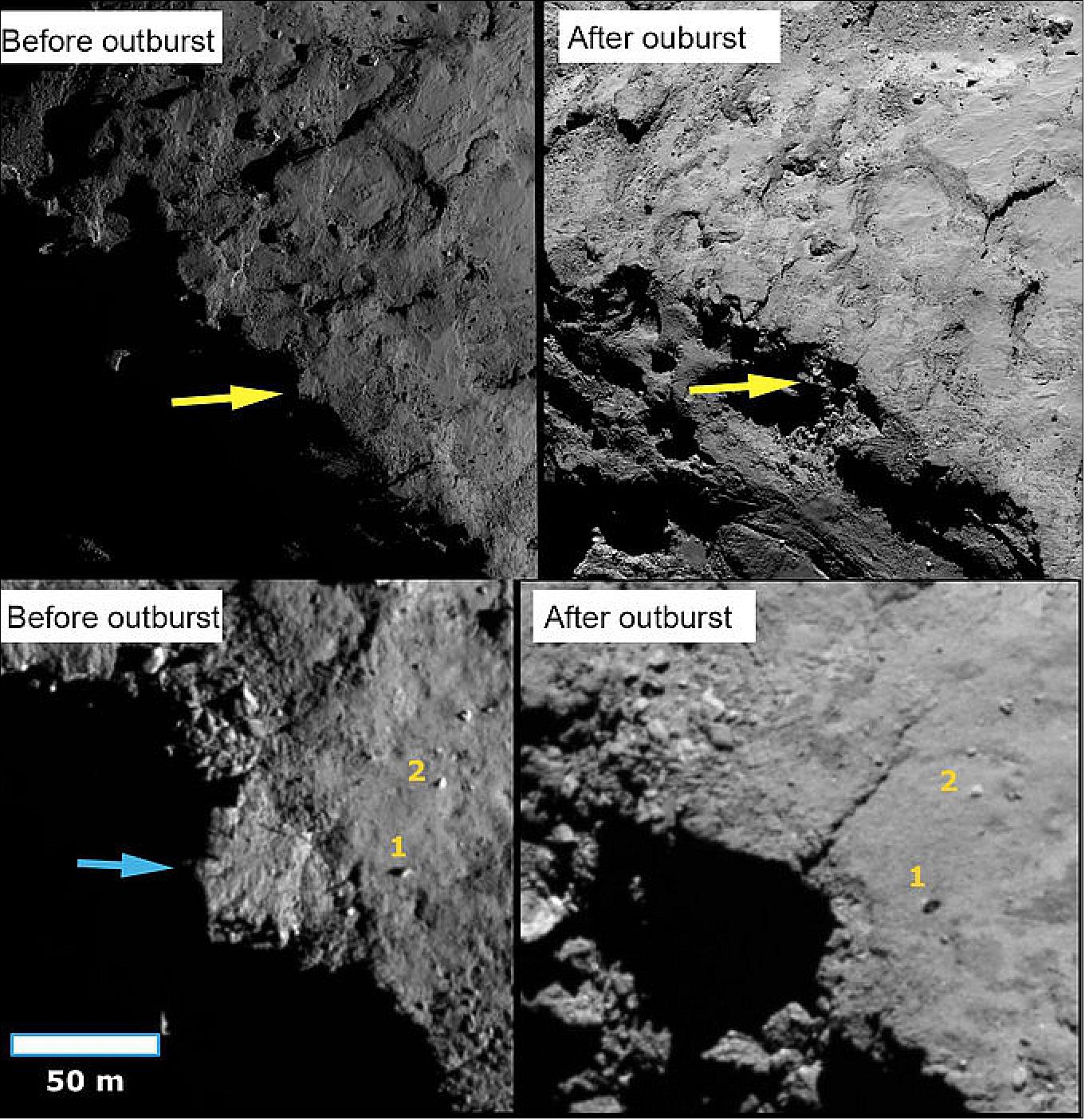 Figure 55: Cliff collapse before and after. Before and after a cliff collapse on Comet 67P/Churyumov-Gerasimenko. In the upper panels the yellow arrows show the location of a scarp at the boundary between the illuminated northern hemisphere and the dark southern hemisphere of the small lobe at times before and after the outburst event (September 2014 and June 2016, respectively). The lower panels show close-ups of the upper panels; the blue arrow points to the scarp that appears to have collapsed in the image after the outburst. Two boulders (1and 2) are marked for orientation [image credit: ESA/Rosetta/MPS for OSIRIS Team MPS/UPD/LAM/IAA/SSO/INTA/UPM/DASP/IDA (CC BY-SA 4.0)]