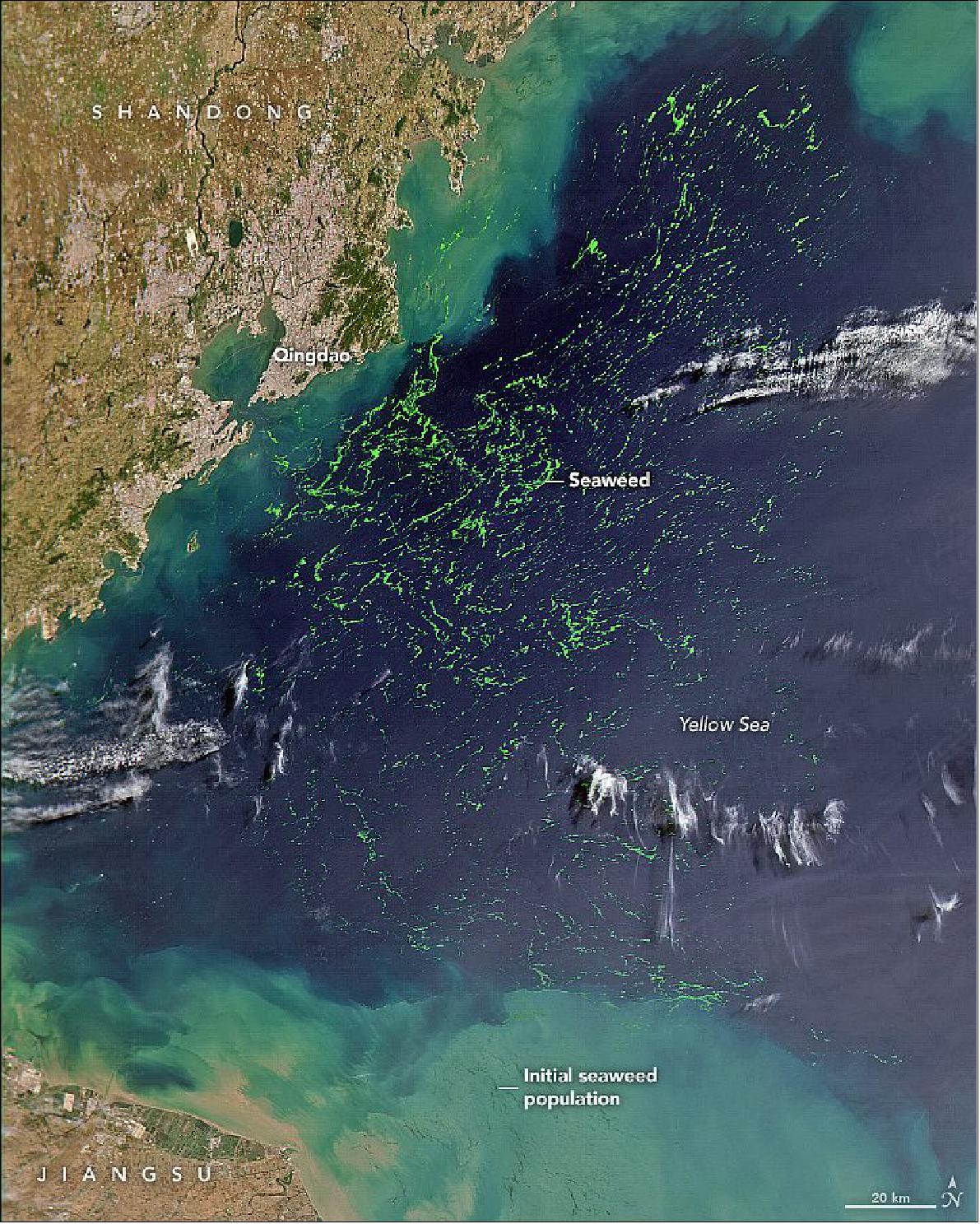 Figure 11: The recent bloom is visible in this natural-color image, acquired on June 19, 2021, with the Hawkeye sensor on the SeaHawk CubeSat. Images from SeaHawk and other satellites help scientists document the origin and distribution of blooms in the region as they work to untangle the factors causing the large outbreaks (image credit: NASA image by Alan Holmes/NASA’s Ocean Color Web, using data from SeaHawk/HawkEye. Story by Kathryn Hansen)