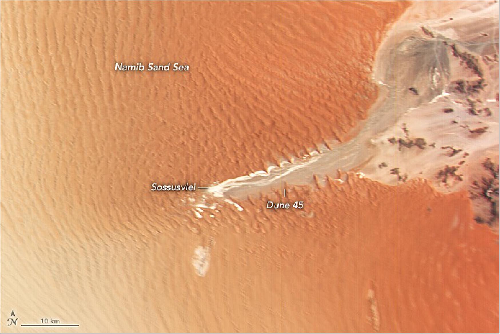 Figure 8: The oldest desert on Earth also gives rise to some of the planet’s tallest dunes. Detail image of Figure 7 (image credit: NASA Earth Observatory)