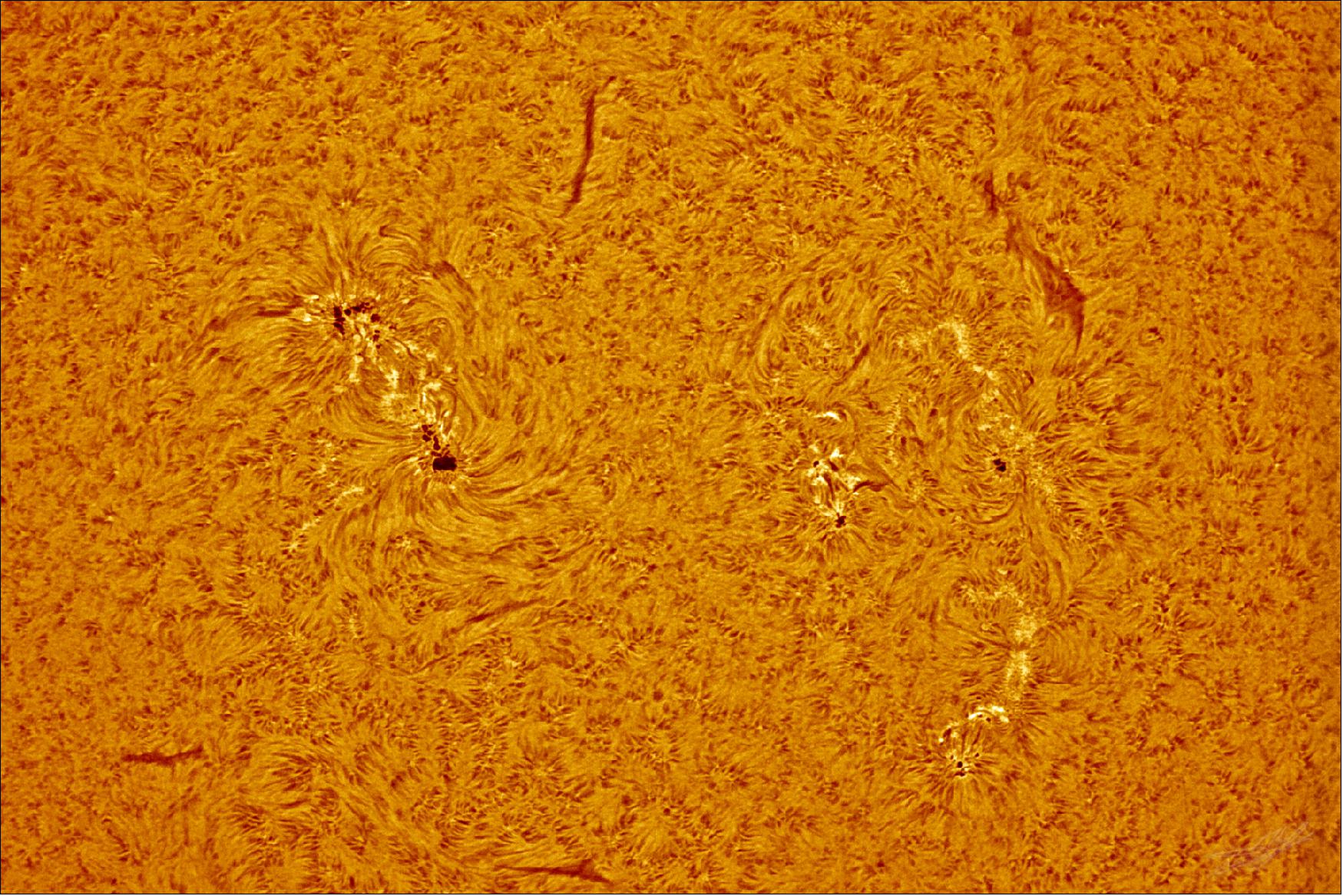 Figure 10: This image shows a snippet of the Sun up close, revealing a golden surface marked by a number of dark, blotchy sunspots, curving filaments, and lighter patches known as ‘plages' – brighter regions often found near sunspots. The width of the image would cover roughly a third of the diameter of the solar disc (image credit: ESA/ESAC/CESAR, A. de Burgos)