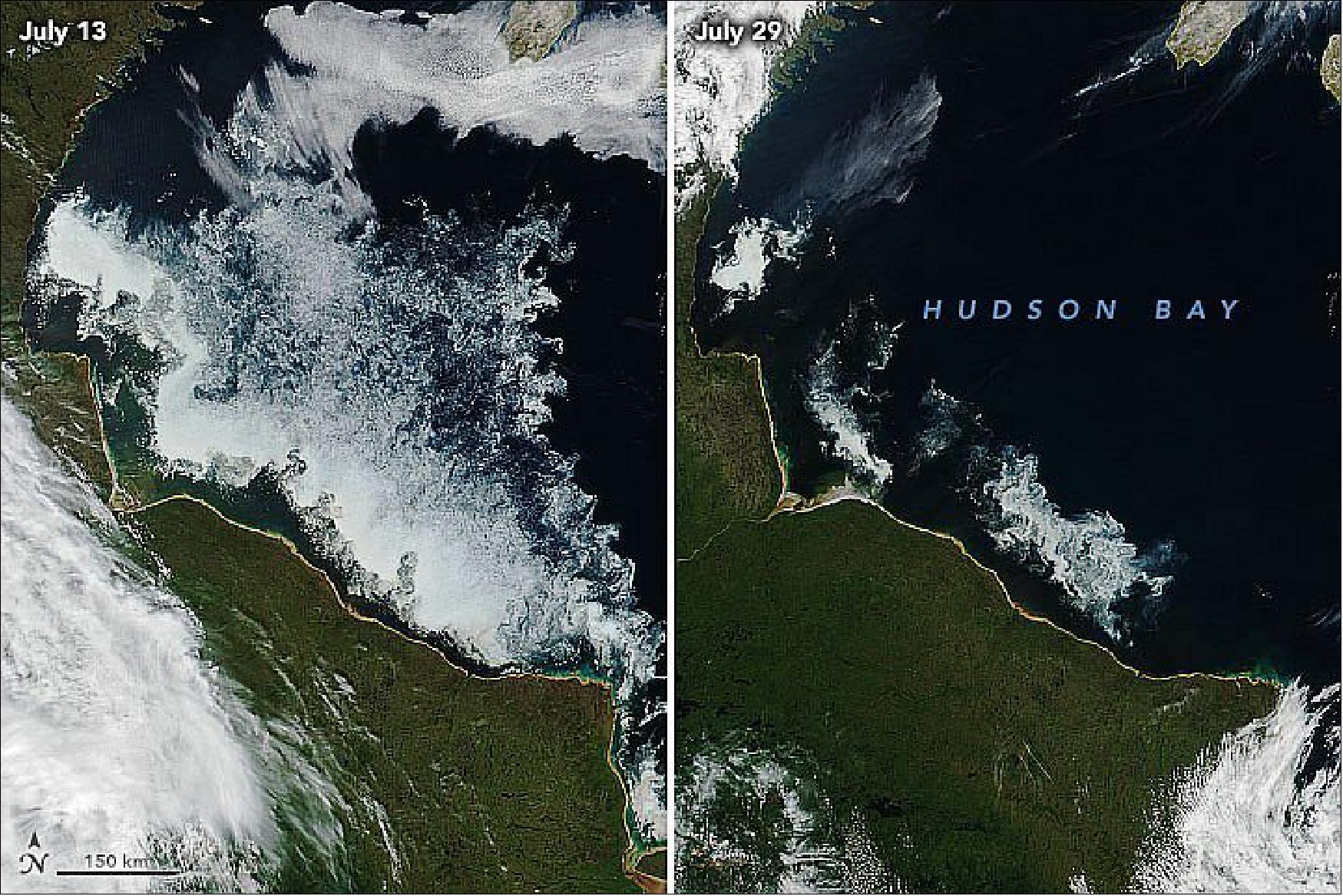 Figure 12: Polar bears rely on sea ice to hunt seals, their preferred prey. As the sea ice breaks up, satellites often capture stunning natural-color images of the changing conditions. For instance, the Visible Infrared Imaging Radiometer Suite (VIIRS) on Suomi NPP captured this pair of images highlighting the drawdown of sea ice between July 13 and July 29, 2020. While many parts of the Arctic saw unusually rapid melting and low levels of ice through July 2020, conditions were a bit more hospitable to sea ice in southwestern Hudson Bay (image credit: NASA Earth Observatory images by Joshua Stevens, using VIIRS data from NASA EOSDIS/LANCE and GIBS/Worldview and the Suomi NPP. Story by Adam Voiland)