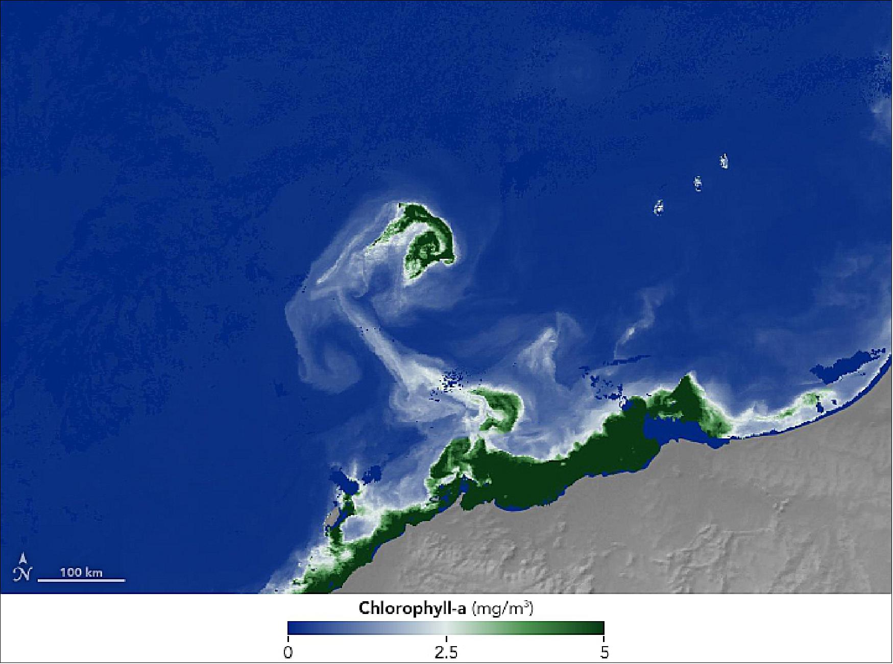 Figure 55: The Australian Bureau of Meteorology reported that a phytoplankton bloom was taking place at the time. This image shows concentrations of chlorophyll, the pigment that phytoplankton use to harvest sunlight, as derived by the Moderate Resolution Imaging Spectroradiometer (MODIS) on March 29, 2019 (image credit: NASA Earth Observatory, image by Lauren Dauphin, using MODIS data from NASA EOSDIS/LANCE and GIBS/Worldview. Story by Kasha Patel)