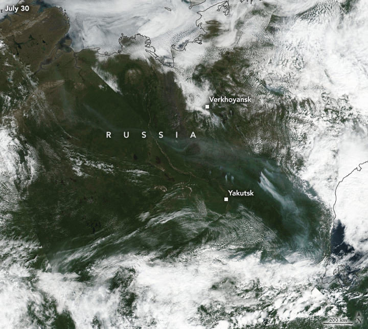 Figure 13: The area shown in the time-lapse sequence includes the Sakha Republic, one of the most active fire regions in Siberia this summer. The images show smoke plumes billowing from July 30 to August 6, 2020, as observed by the Visible Infrared Imaging Radiometer Suite (VIIRS) on NASA/NOAA’s Suomi NPP satellite and the MODIS instrument on NASA’s Terra satellite. Strong winds occasionally carried the plumes as far as Alaska in late July. As of August 6, approximately 19 fires were burning in the province (image credit: NASA Earth Observatory, image by Lauren Dauphin, using VIIRS data from NASA EOSDIS/LANCE and GIBS/Worldview and the SuomiNPP and MODIS data from NASA EOSDIS/LANCE and GIBS/Worldview. Story by Kasha Patel)