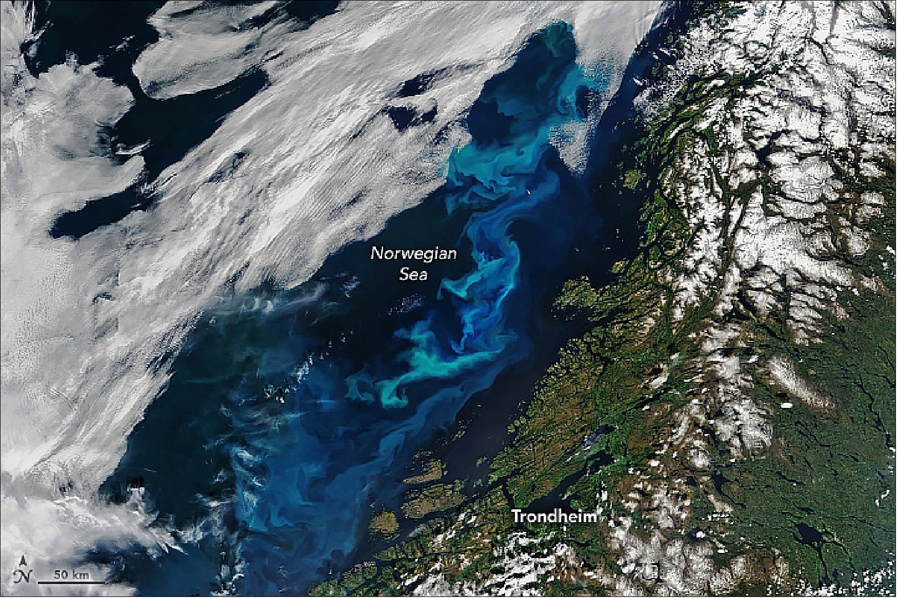 Figure 32: Phytoplankton in the Norwegian Sea are visible in this image, acquired on June 5, 2019, with the MODIS instrument on NASA’s Terra satellite. The bloom, shown here off Nordland and Trøndelag counties, likely includes plenty of Emiliania huxleyi—a species of coccolithophore with white scale-like shells made of calcium carbonate. The mixture of calcium carbonate and ocean water appears milky blue-green. Some of the color may come from sediment or from other species of phytoplankton (image credit: NASA Earth Observatory image by Joshua Stevens, using MODIS data from NASA EOSDIS/LANCE and GIBS/Worldview, Story by Kathryn Hansen)