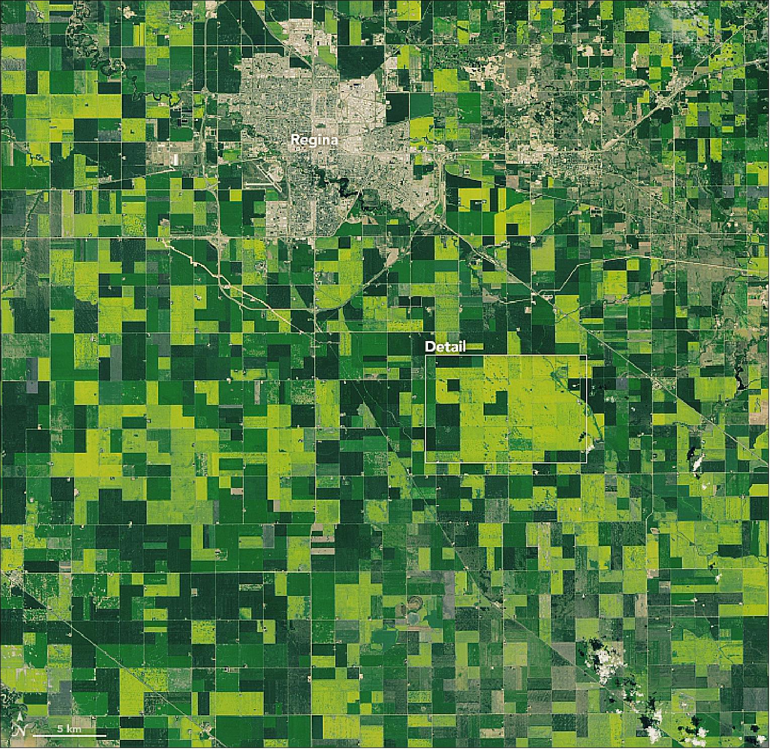 Figure 22: A day later, OLI (Operational Land Imager) on Landsat-8 acquired a more-detailed view of canola in bloom near Regina, Saskatchewan (image credit: NASA Earth Observatory, image by Lauren Dauphin, using Landsat data from the U.S. Geological Survey, Story by Adam Voiland)