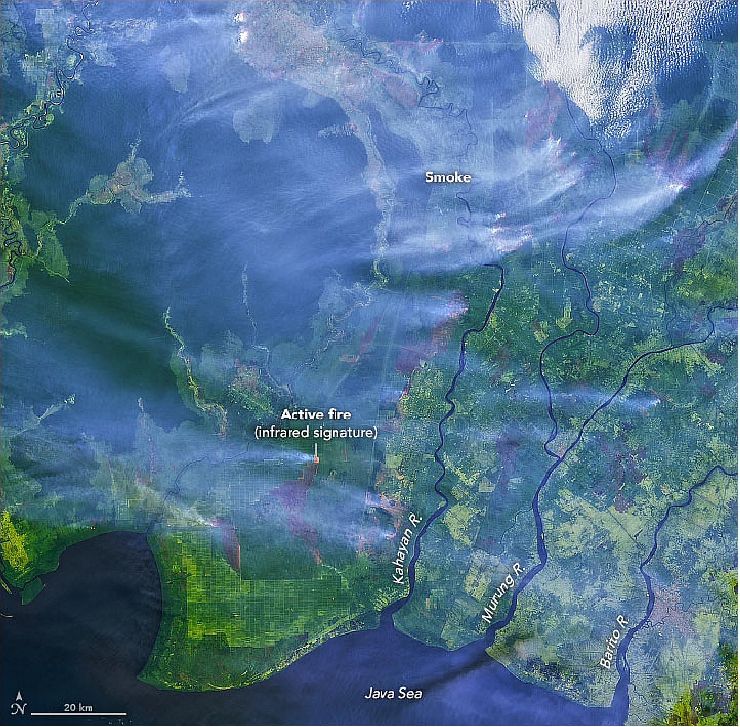 Figure 18: The Operational Land Imager (OLI) on Landsat-8 acquired this image, which shows fires burning in several oil palm areas in southern Borneo. Shortwave-infrared observations have been overlain on a natural-color image to highlight the locations of active fires (image credit: NASA Earth Observatory, image by Joshua Stevens, using Landsat data from the U.S. Geological Survey. Story by Adam Voiland)