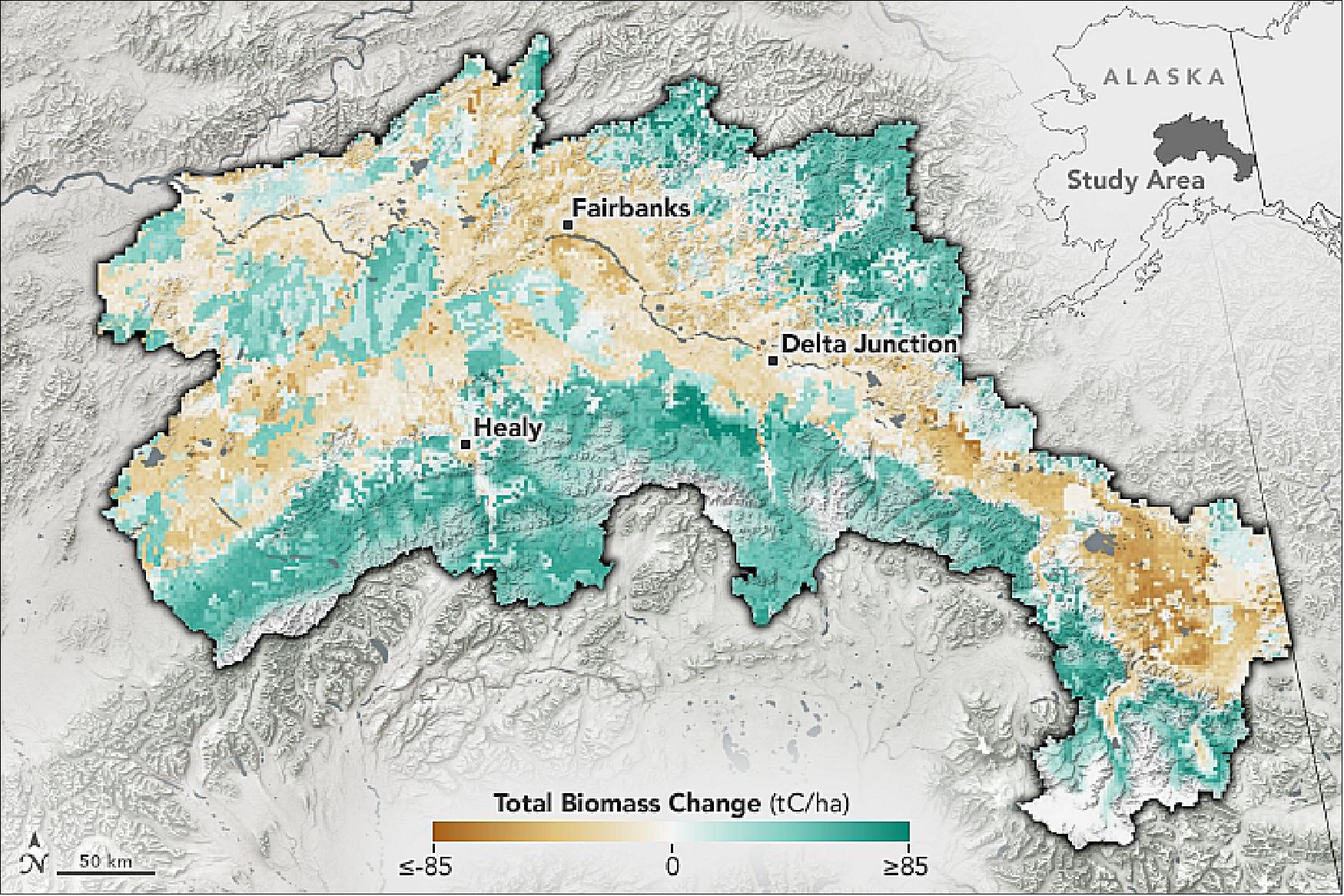 Figure 12: The map shows the projected gain or loss of biomass across a study area in central Alaska; it is based on the climate scenario where greenhouse gas emissions continue to increase at present rates. Across the center of the region, drier areas lose trees and plants, while cooler, wetter areas and higher elevations see gains (image credit: NASA Earth Observatory image by Joshua Stevens, using data courtesy of Foster, A. C., et al. (2019), and data from NASA/METI/AIST/Japan Space Systems, and U.S./Japan ASTER Science Team. Story by Jessica Merzdorf, NASA/GSFC)